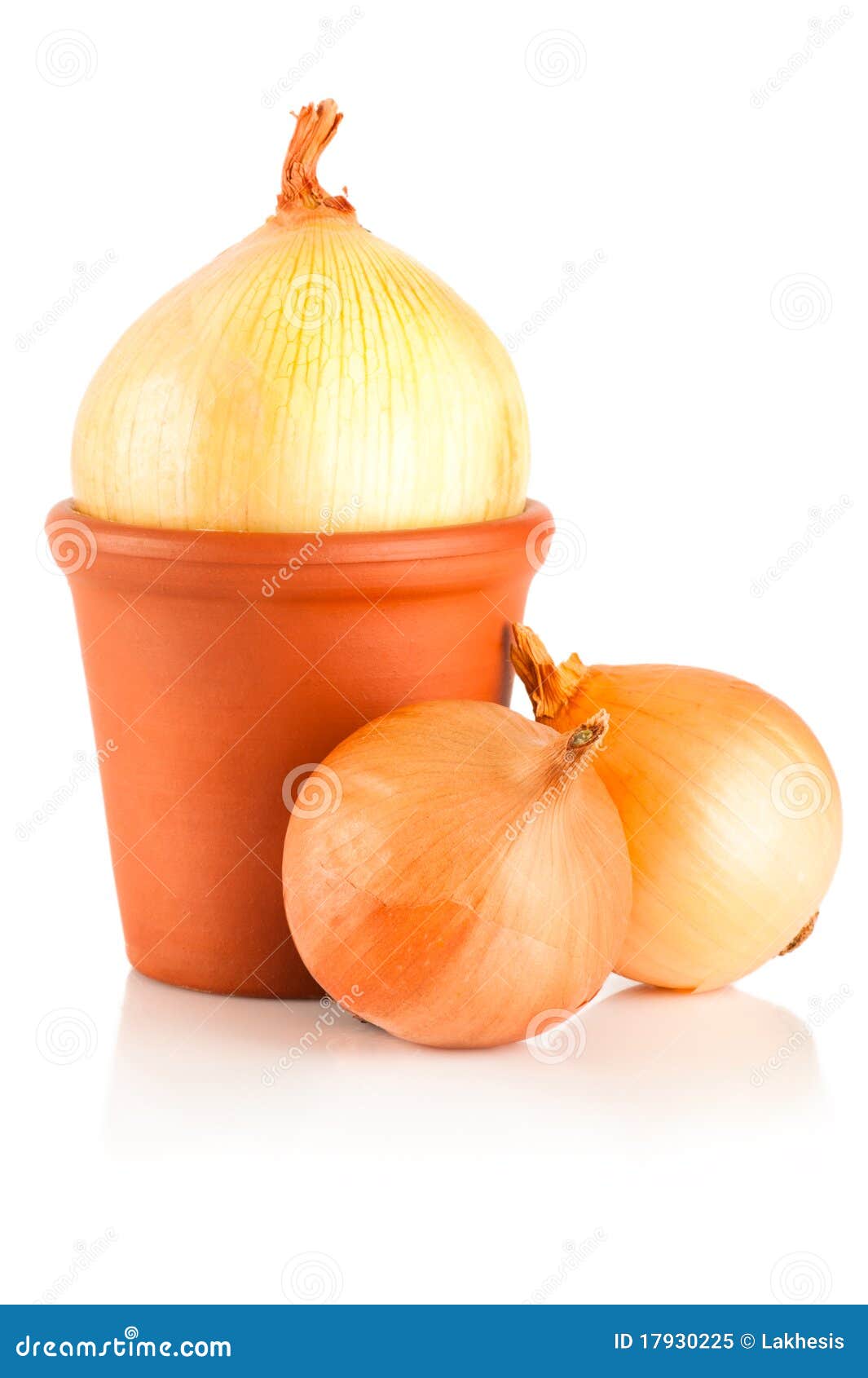 Onion in pot stock image. Image of close, flavoring, ceramic 17930225