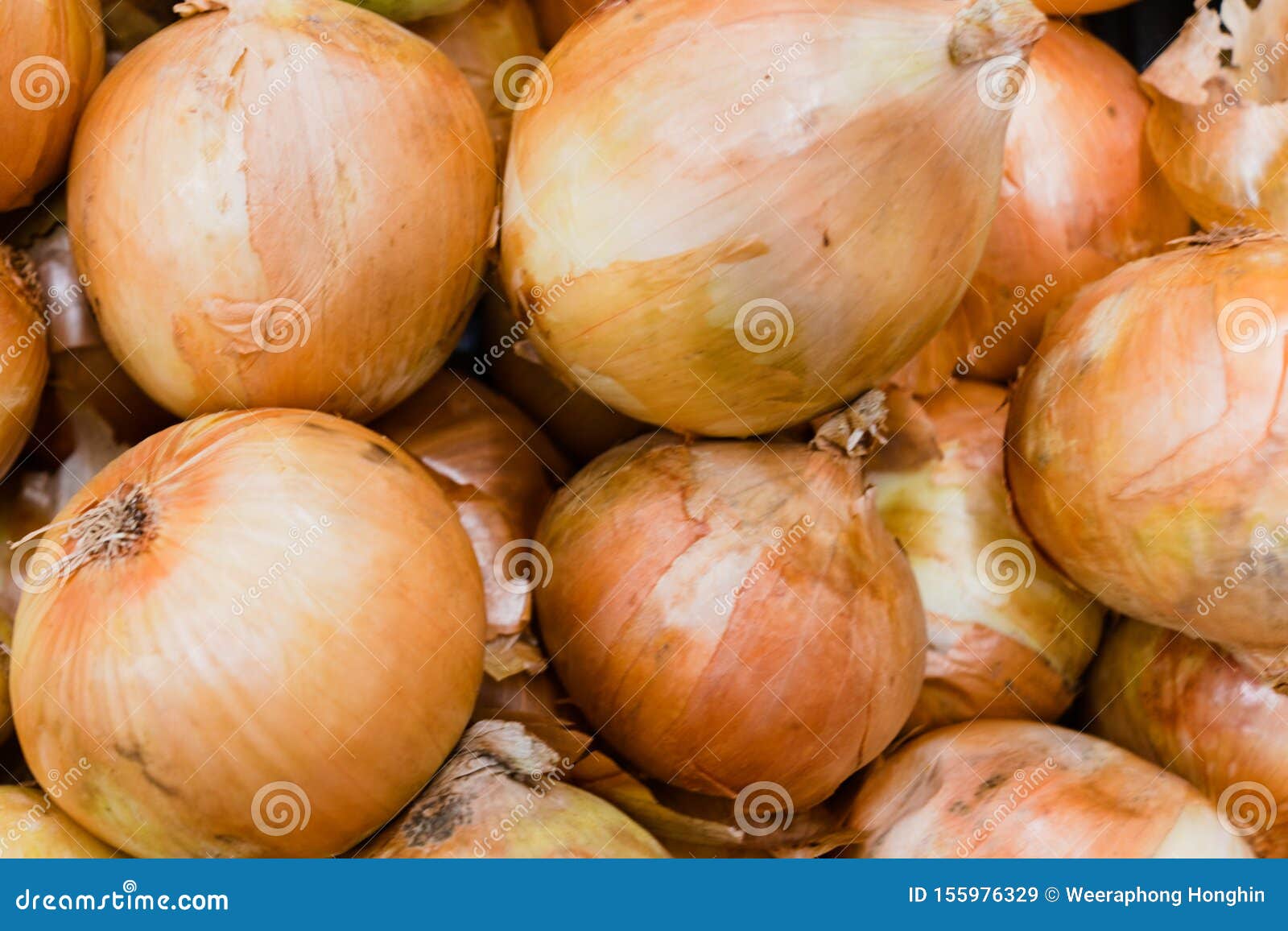 Onion for sale stock image. Image of group, product 155976329
