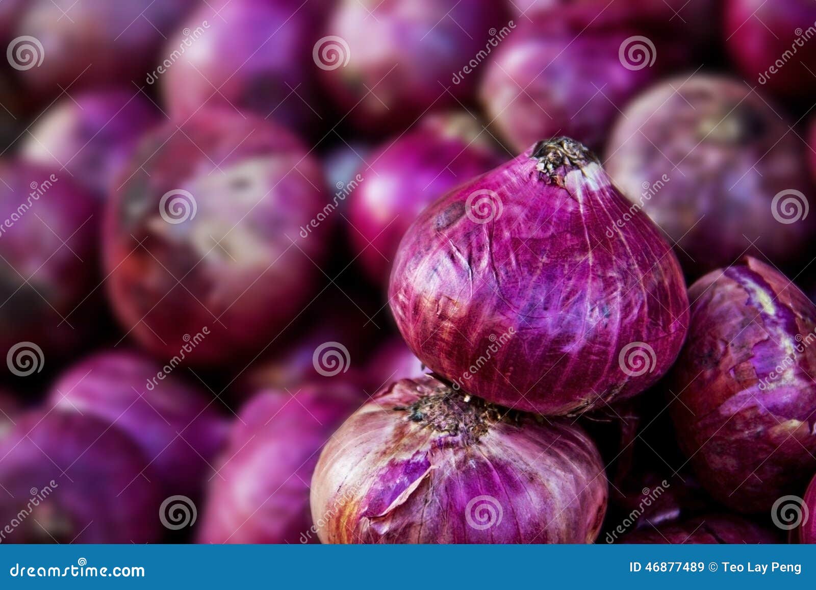 Onion on sale stock image. Image of ingredient, natural 46877489