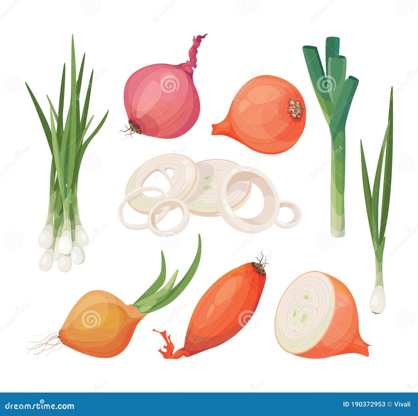 Onion, Shallot, Leek Vector Icon Set. Cartoon Drawings of Raw
