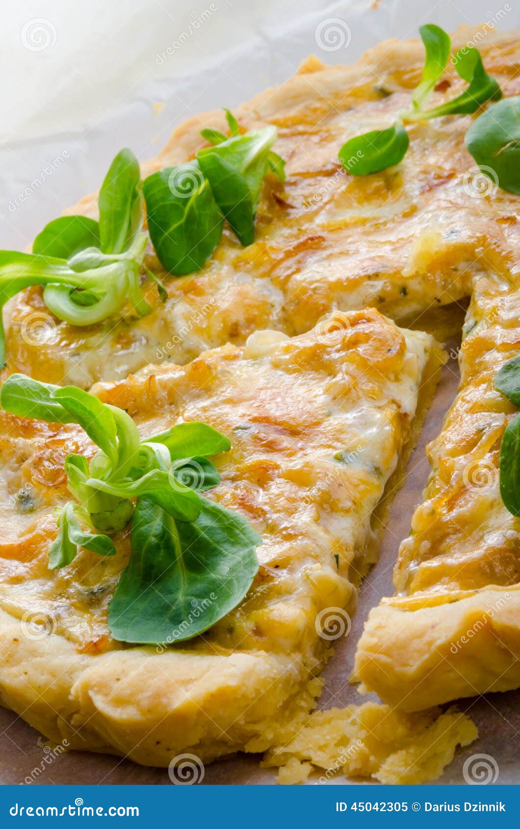 Onion tart stock image. Image of healthy, cooking, baked 45042305