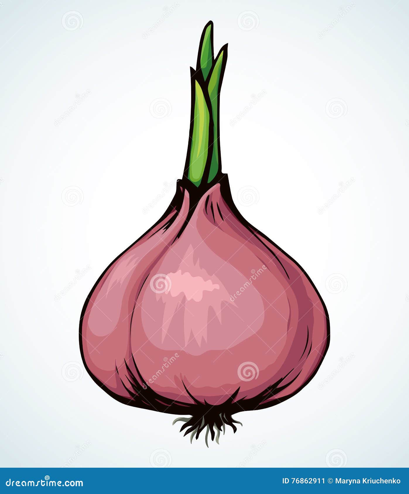 How to draw an onion - YouTube