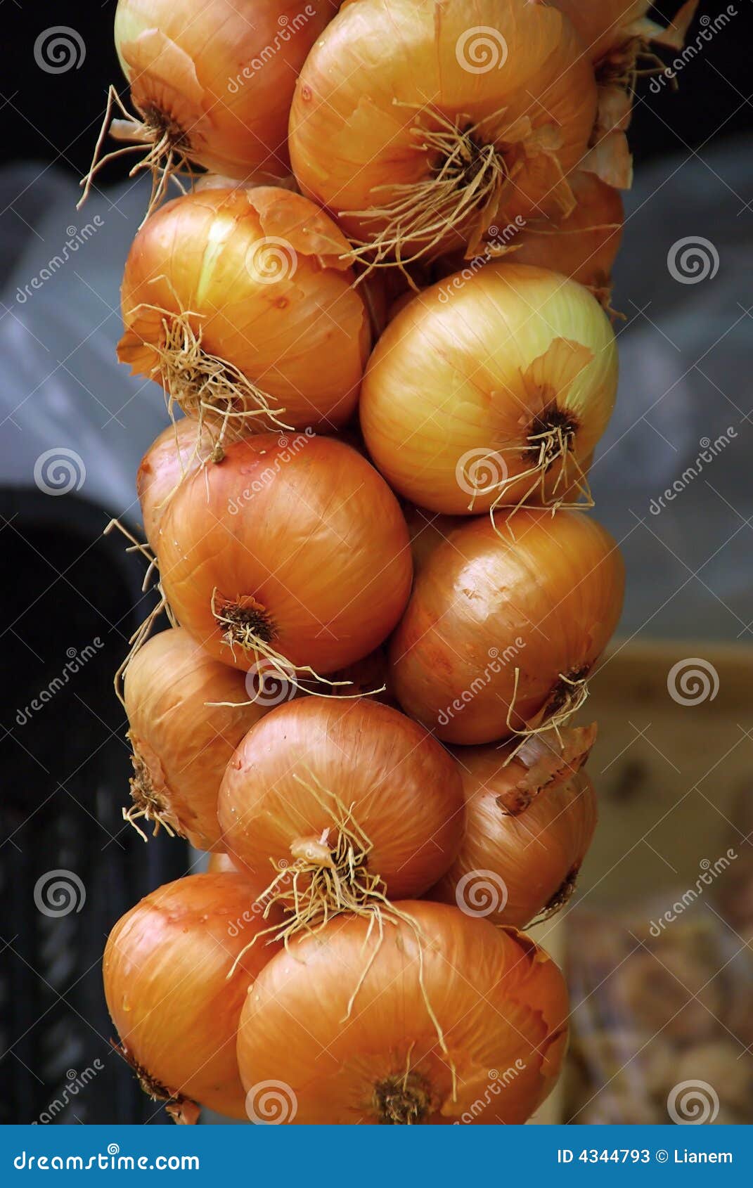 Onion Seiten