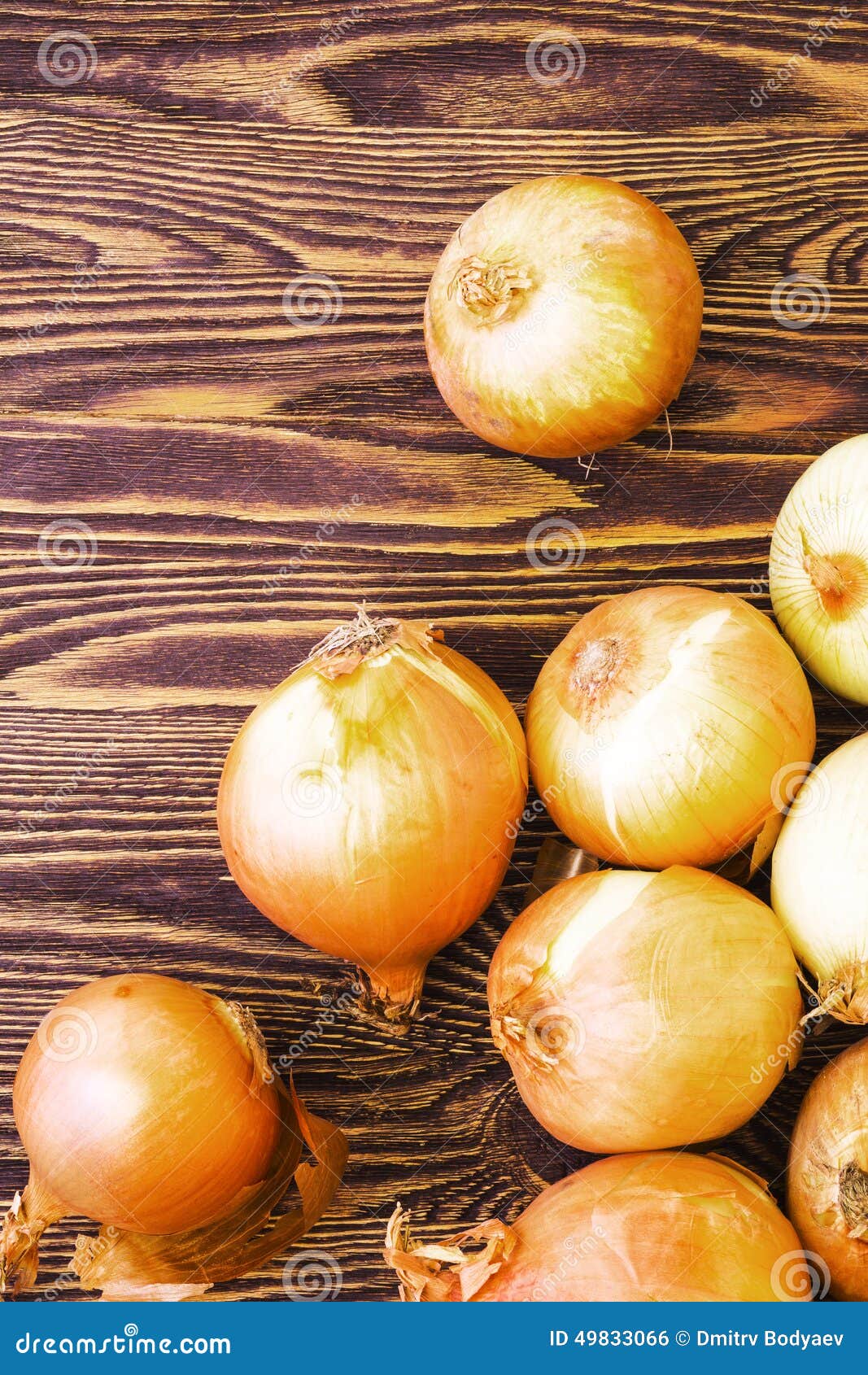 Onions bunch stock photo. Image of onion, group, ingredient 49833066