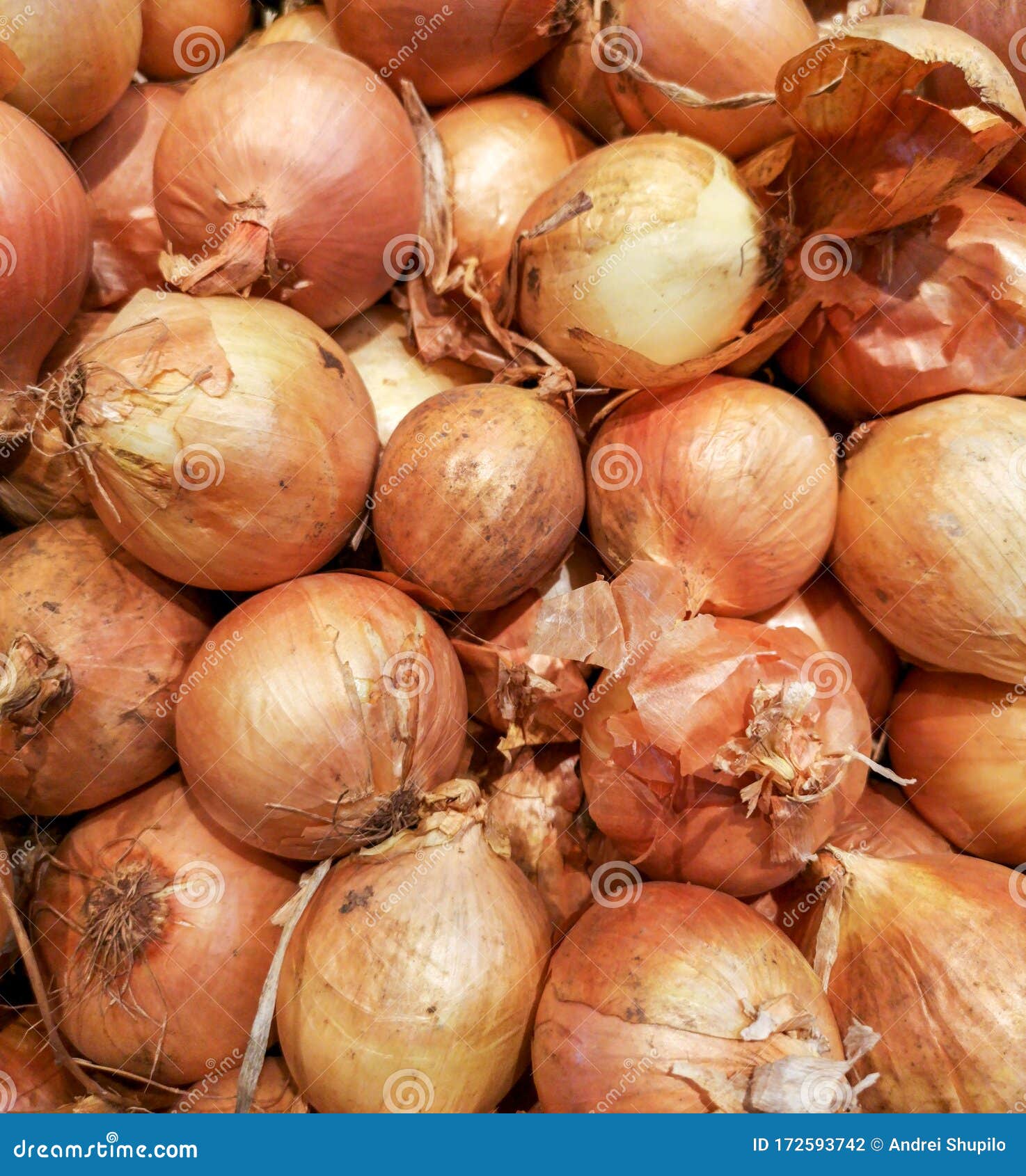 Onions on the Counter in the Store Stock Photo Image of onion, fresh