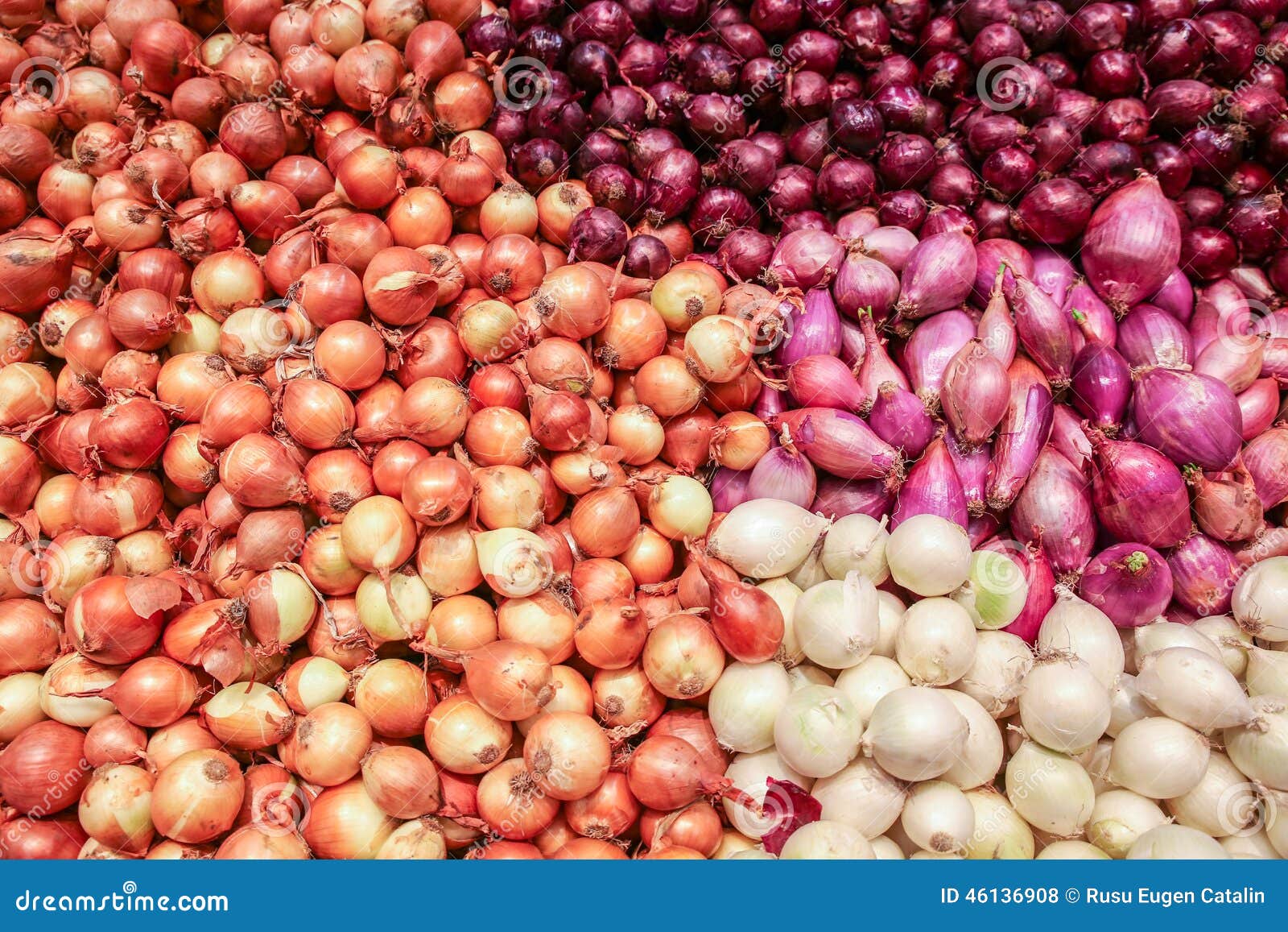 Onions stock photo. Image of store, sales, bulk, colors 46136908