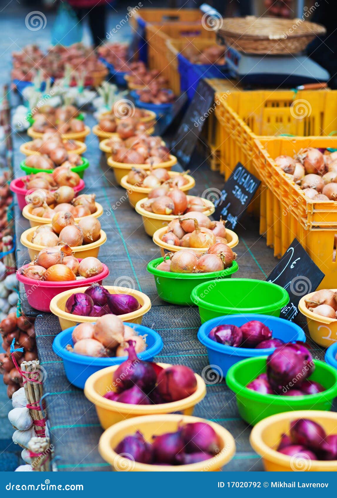 Onion Market