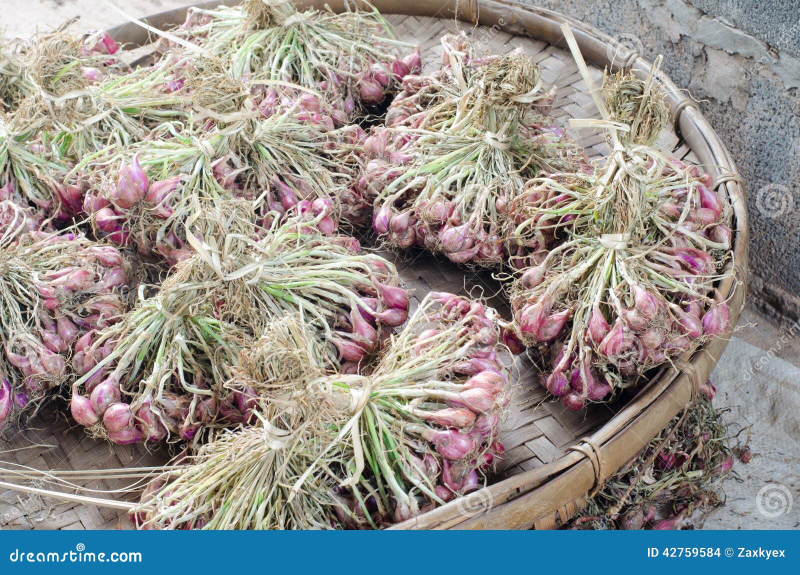 Onions Fresh from the Ground and Covered in Dirt. Stock Photo Image