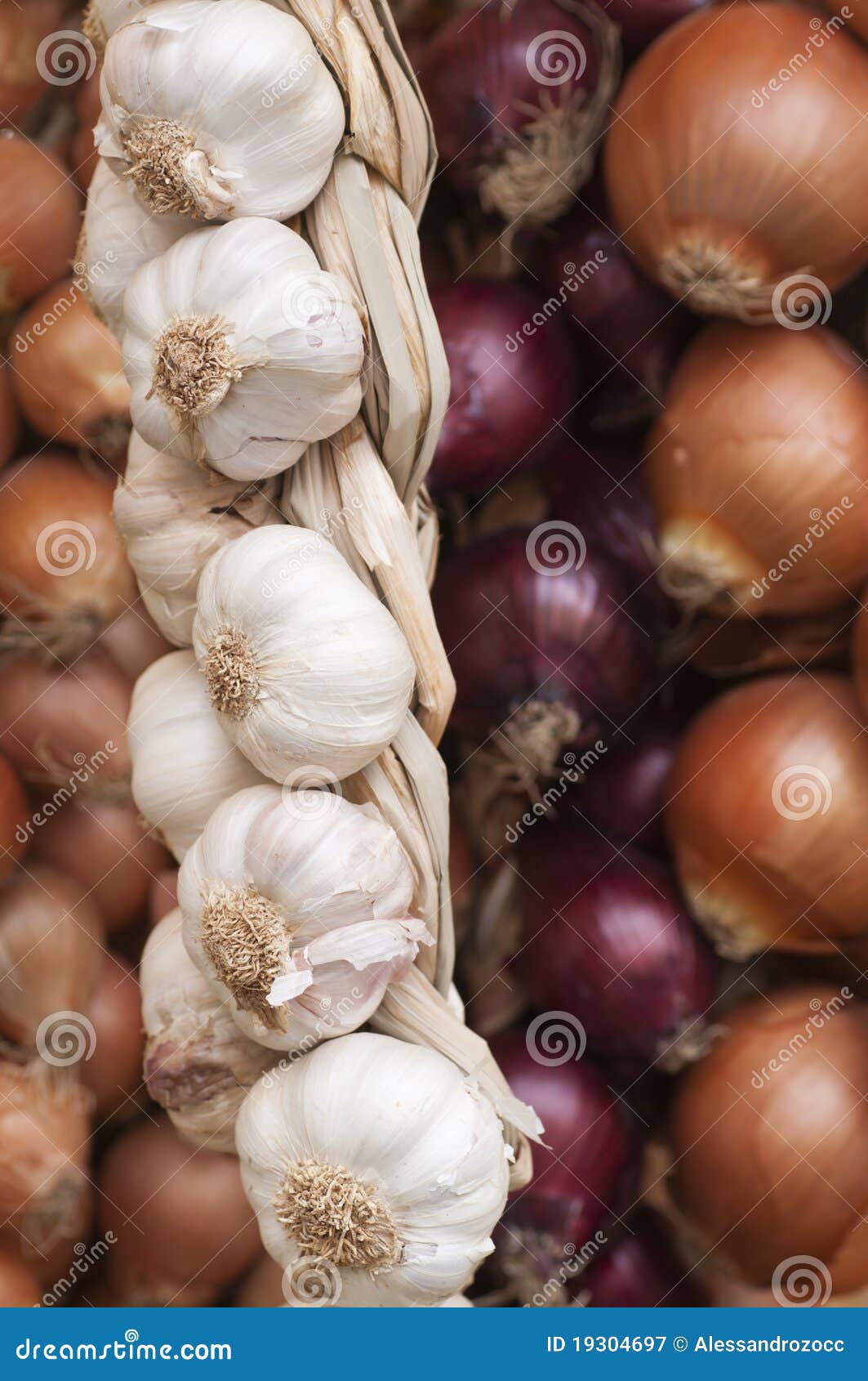 Onions and Garlic of Different Type Stock Image Image of species