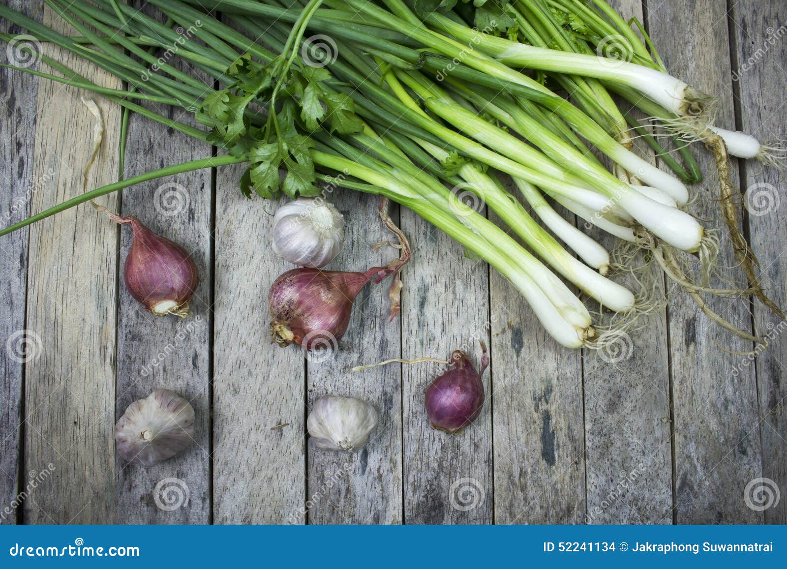 Onions Garlic and Welsh Onion Stock Photo Image of garlic, life 52241134