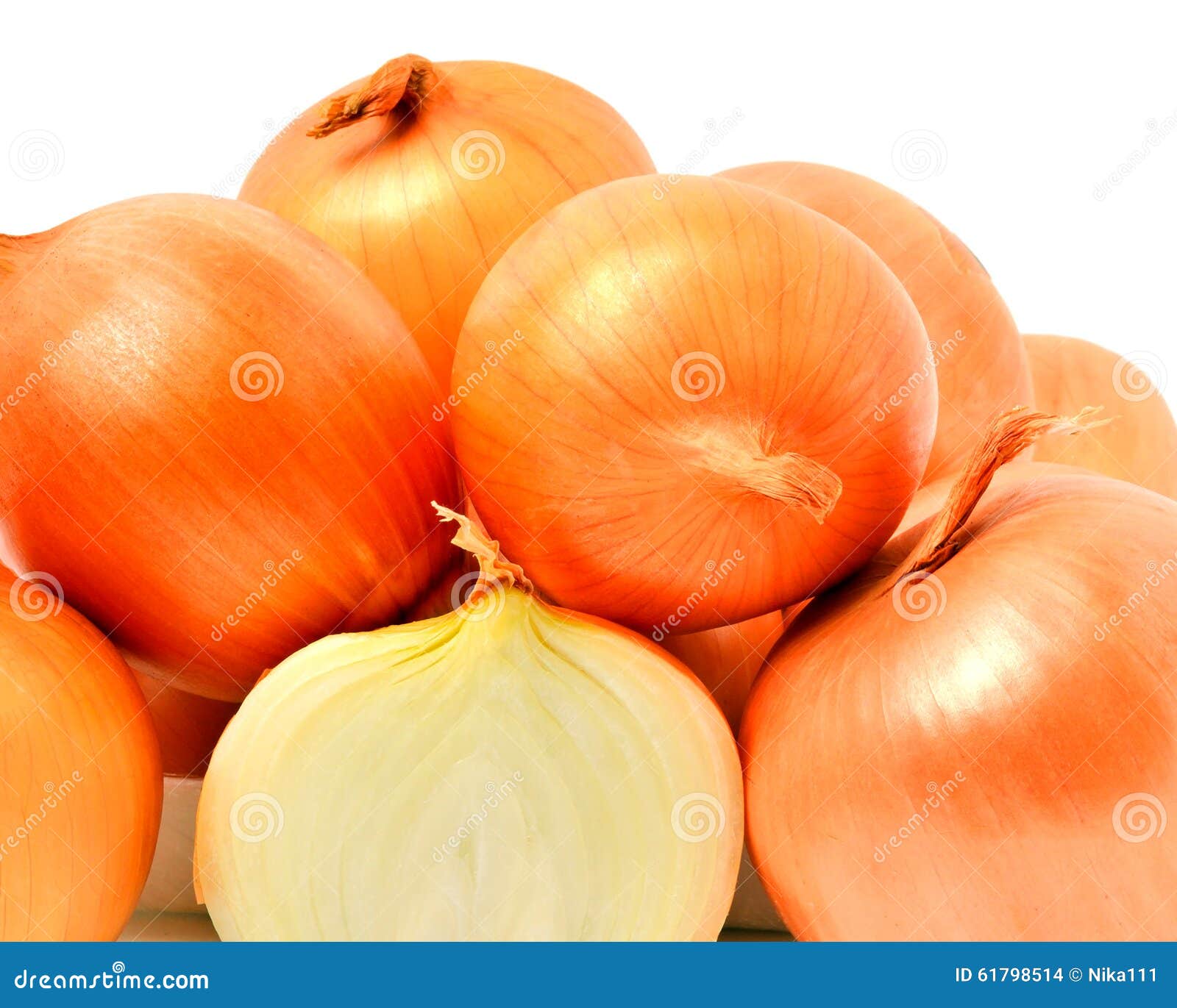 onions  on white