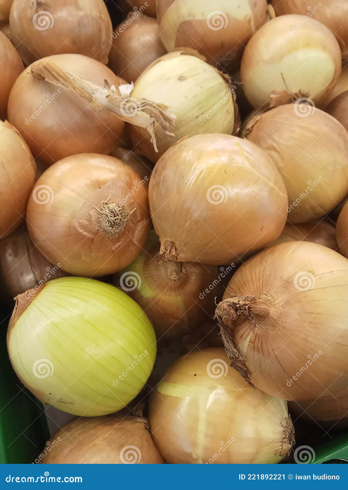Onions Make Every Dish Taste Delicious Stock Image Image of cuisine