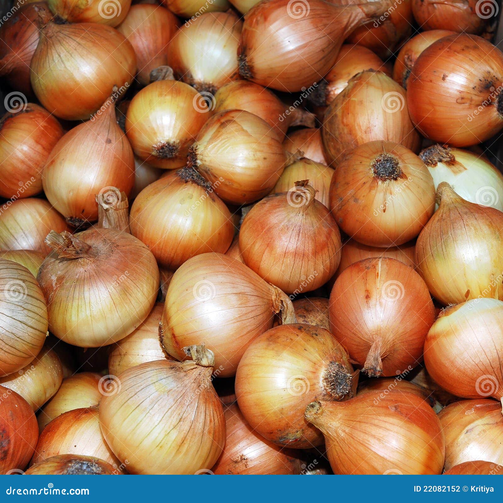 Market onion