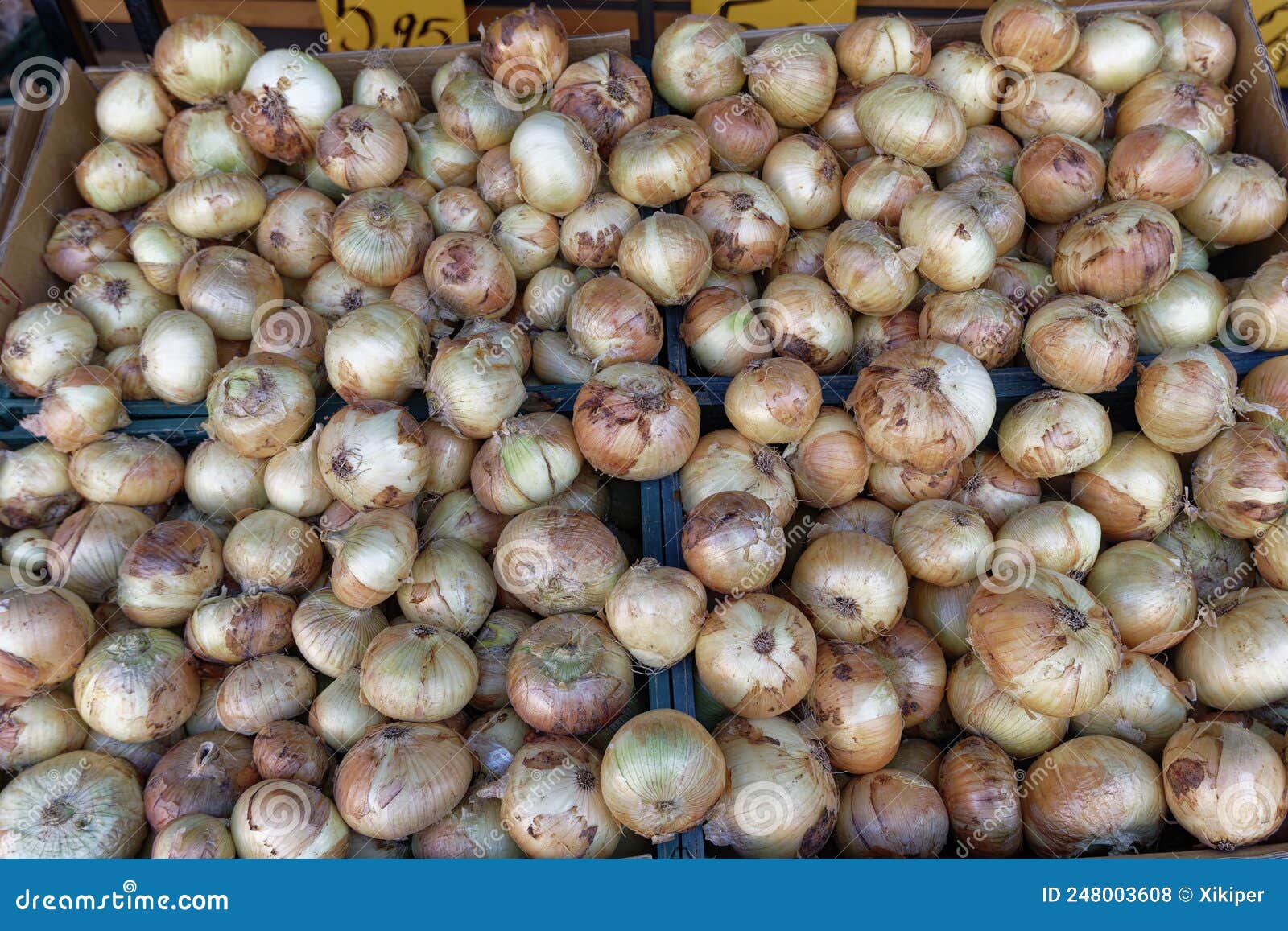 Onions for Sale on the Market Stall Stock Photo Image of freshness