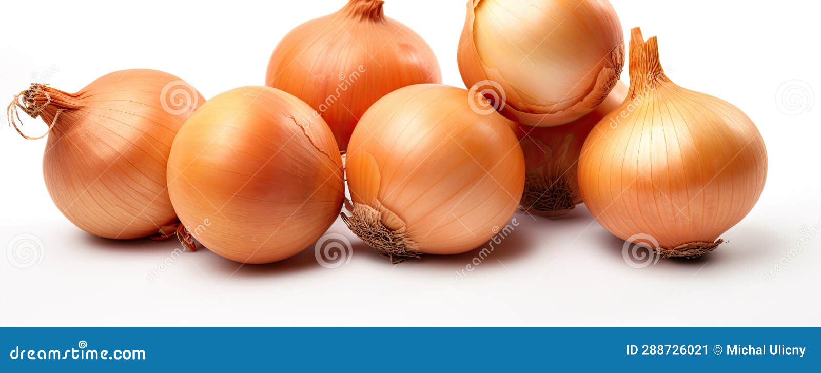 Onions on White Background. Onion Isolated Stock Image Image of
