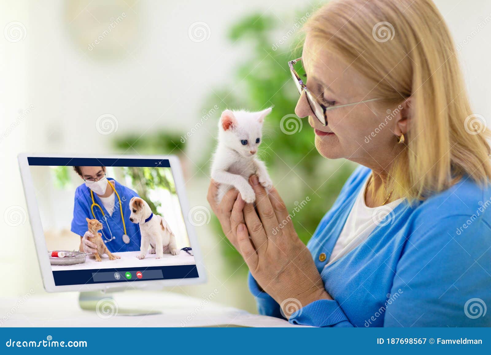 Online Consultation with Veterinarian Doctor Stock Image - Image of  internet, examination: 187698567