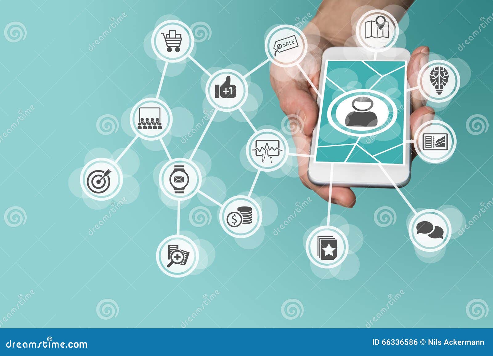 buy The Development of
