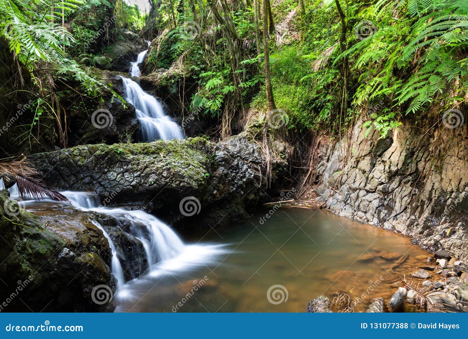 Onomea Waterfall Hawaiian Tropical Botanical Garden Hili Hawaii