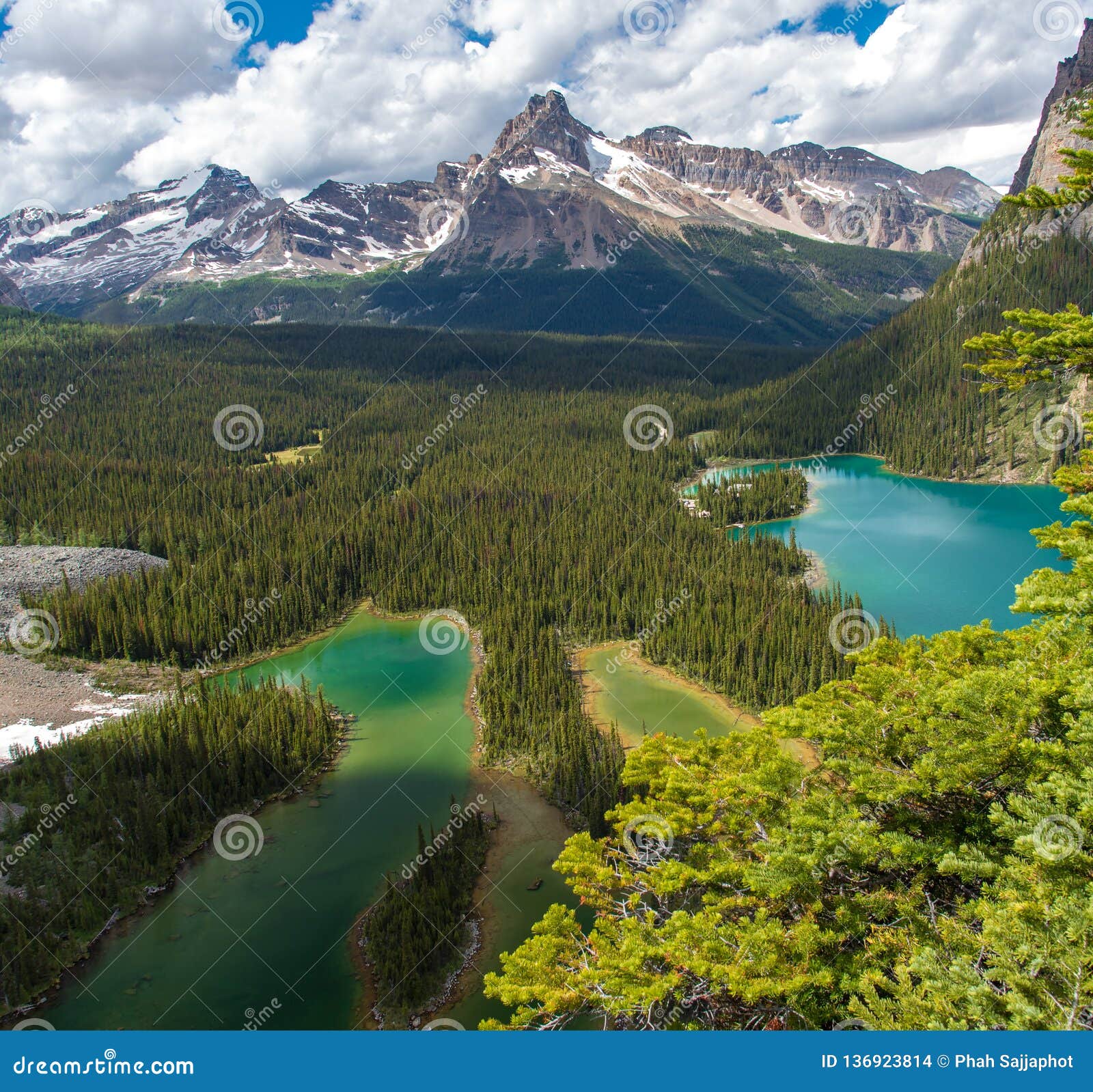 opabin lake beautiful hiking trail in cloudy day in spring, yoho, canada