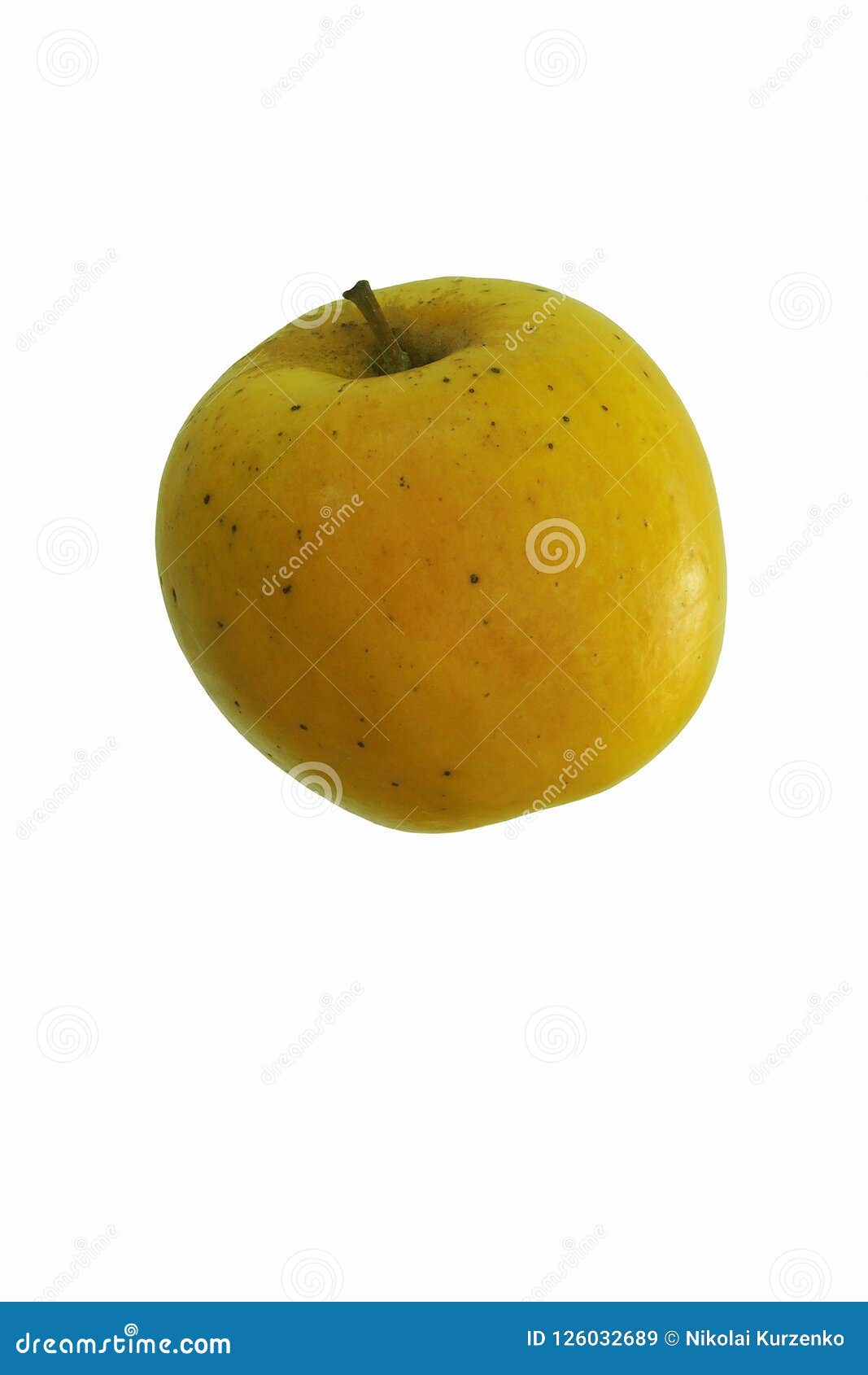 Opal Apple. Image of Apple Isolated on White Background. Stock