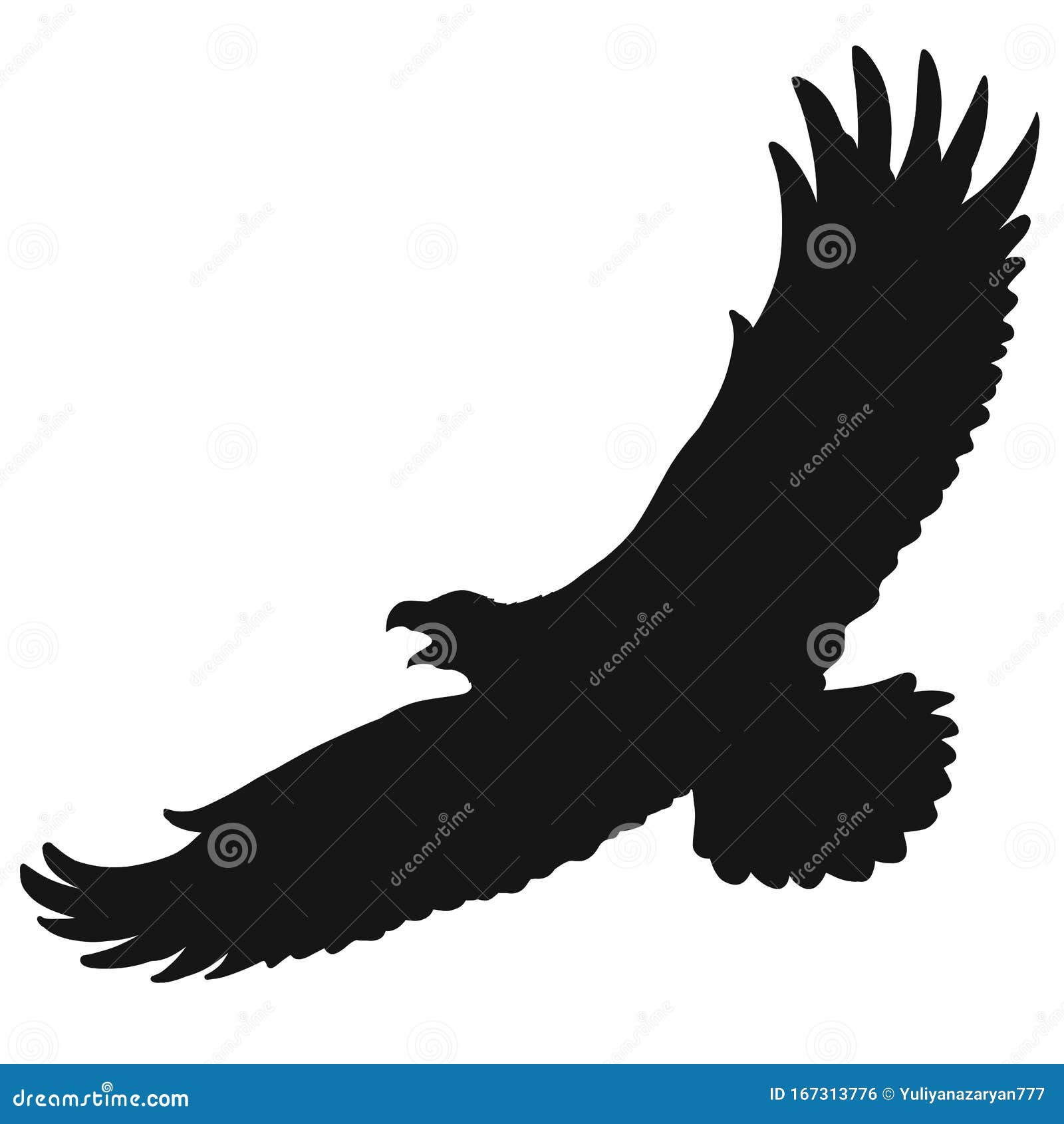 Open Beaked Big Flying Bird of Prey Stock Illustration Illustration Open Beaked Big Flying Bird of Prey Stock Illustration Illustration