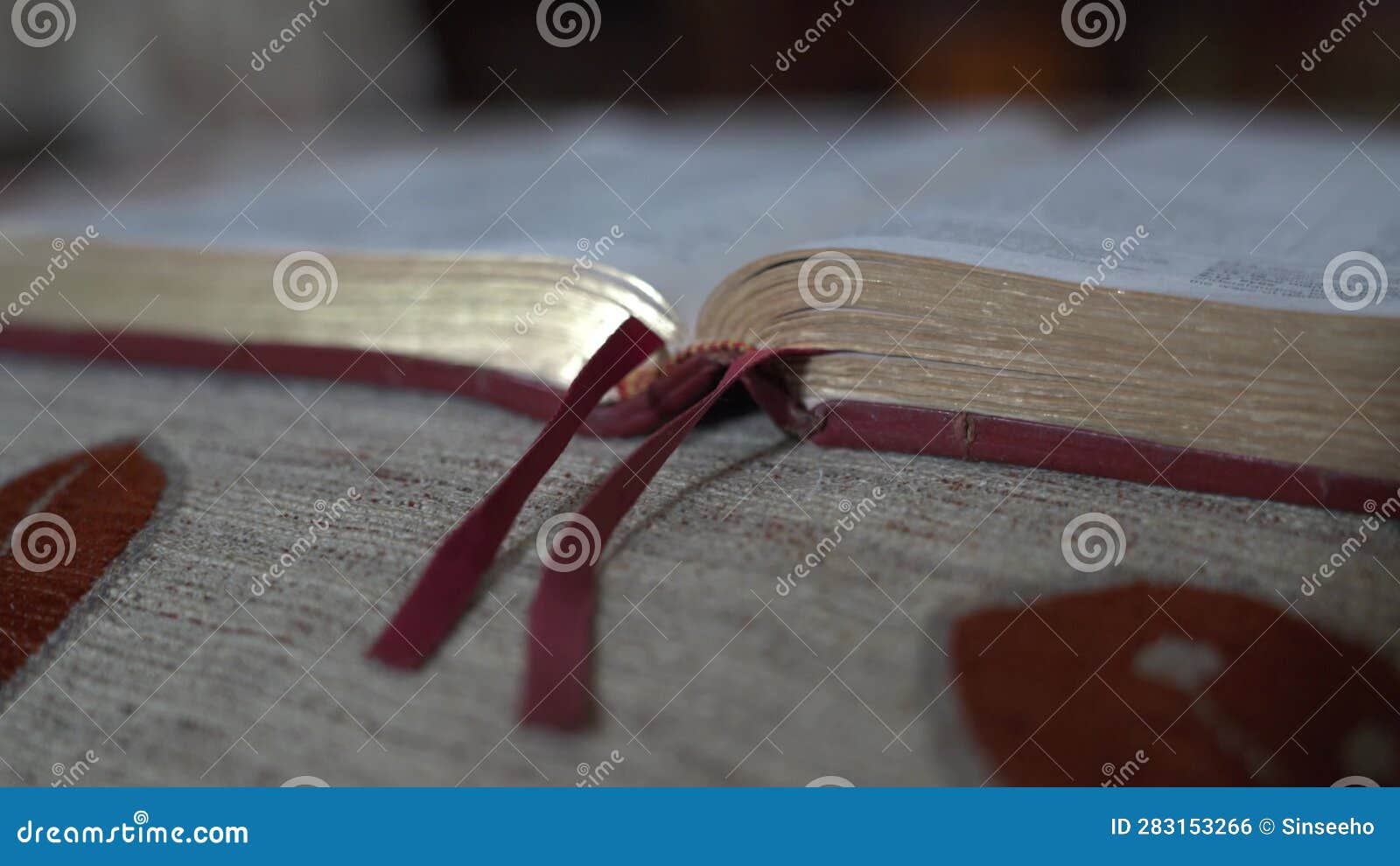 Open Bible at the Centre on Top of Cushion. Stock Footage Video of