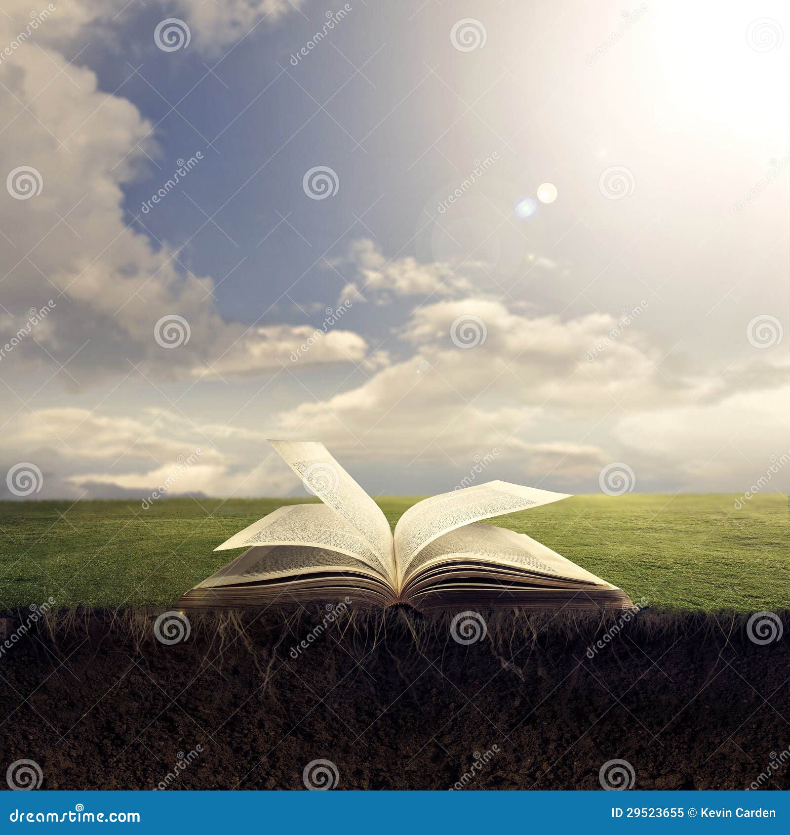 Open Bible On Ground Stock Image. Image Of Dirt, Quran - 29523655
