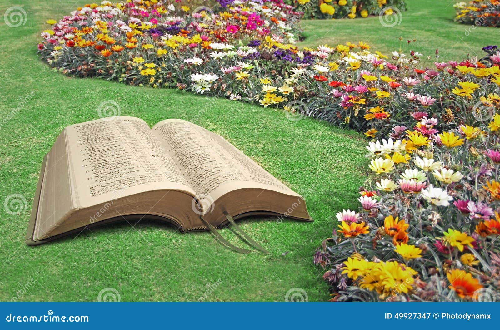 open bible spiritual tranquility paradise park