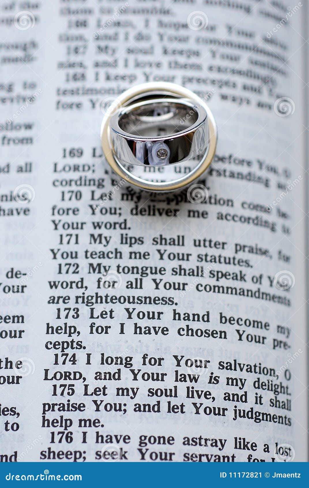 Open Bible with Wedding Rings Stock Image Image of love, text 11172821