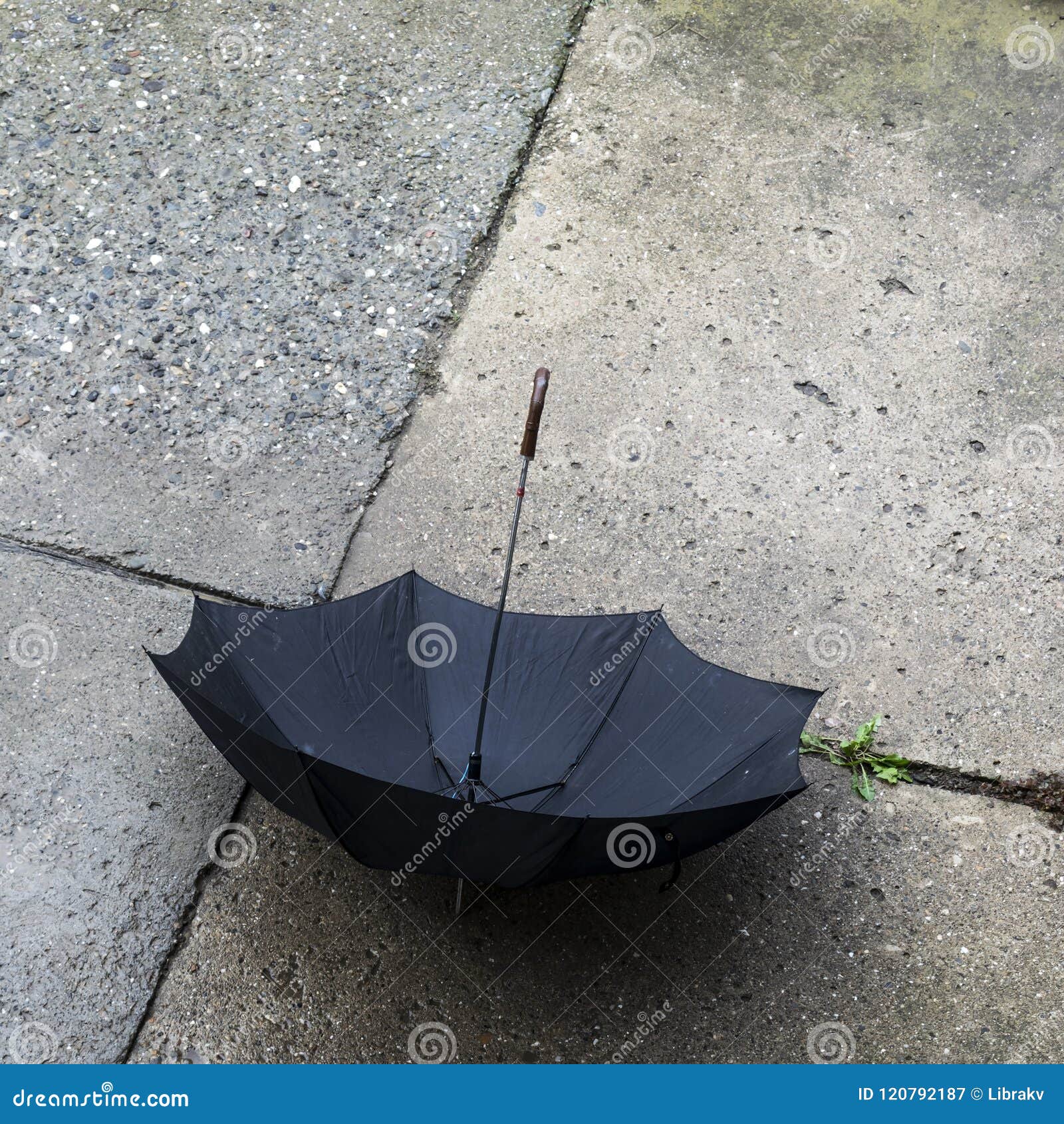 Open Black Umbrella Resting on Concrete Surface Stock Image Image of