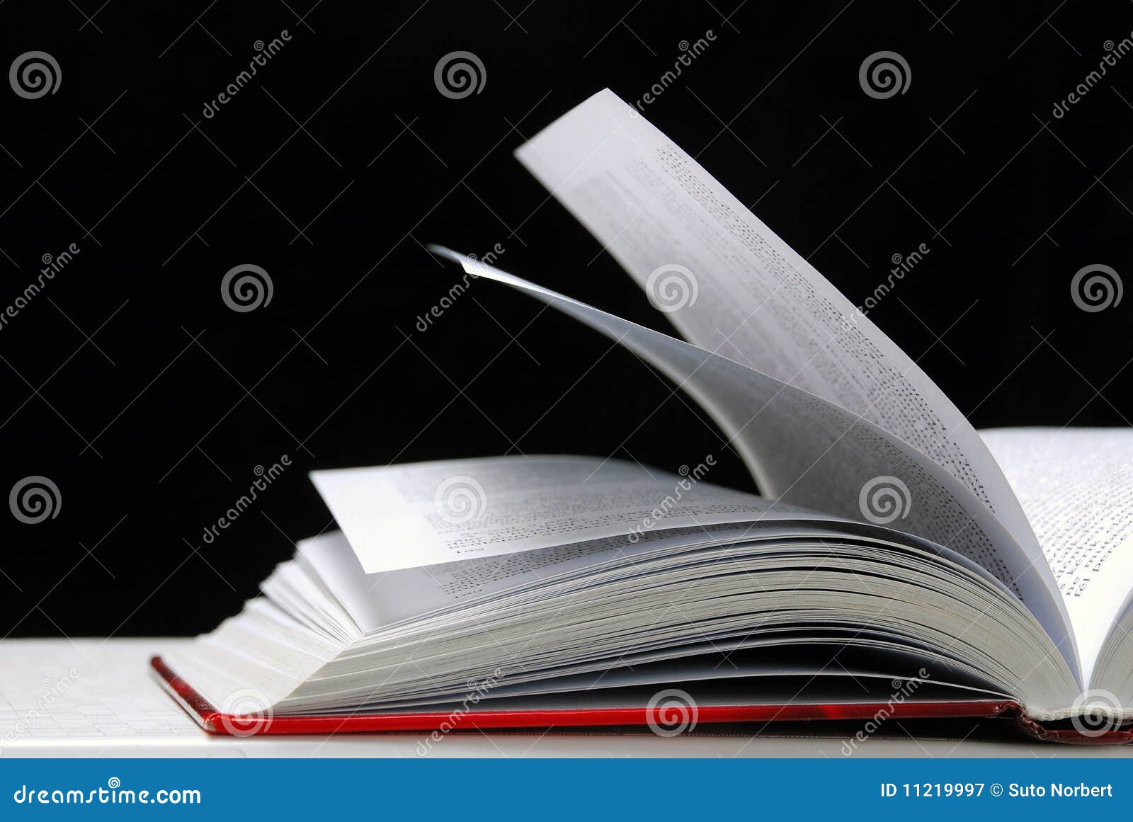 Open Book Images – Browse 698,019 Stock Photos, Vectors, and Video