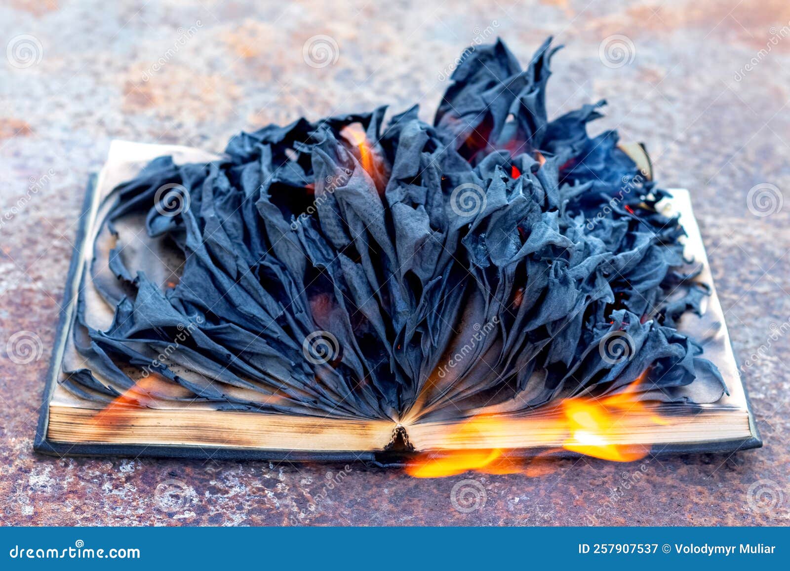 An Open Book with Burnt Pages and Flames Stock Image Image of