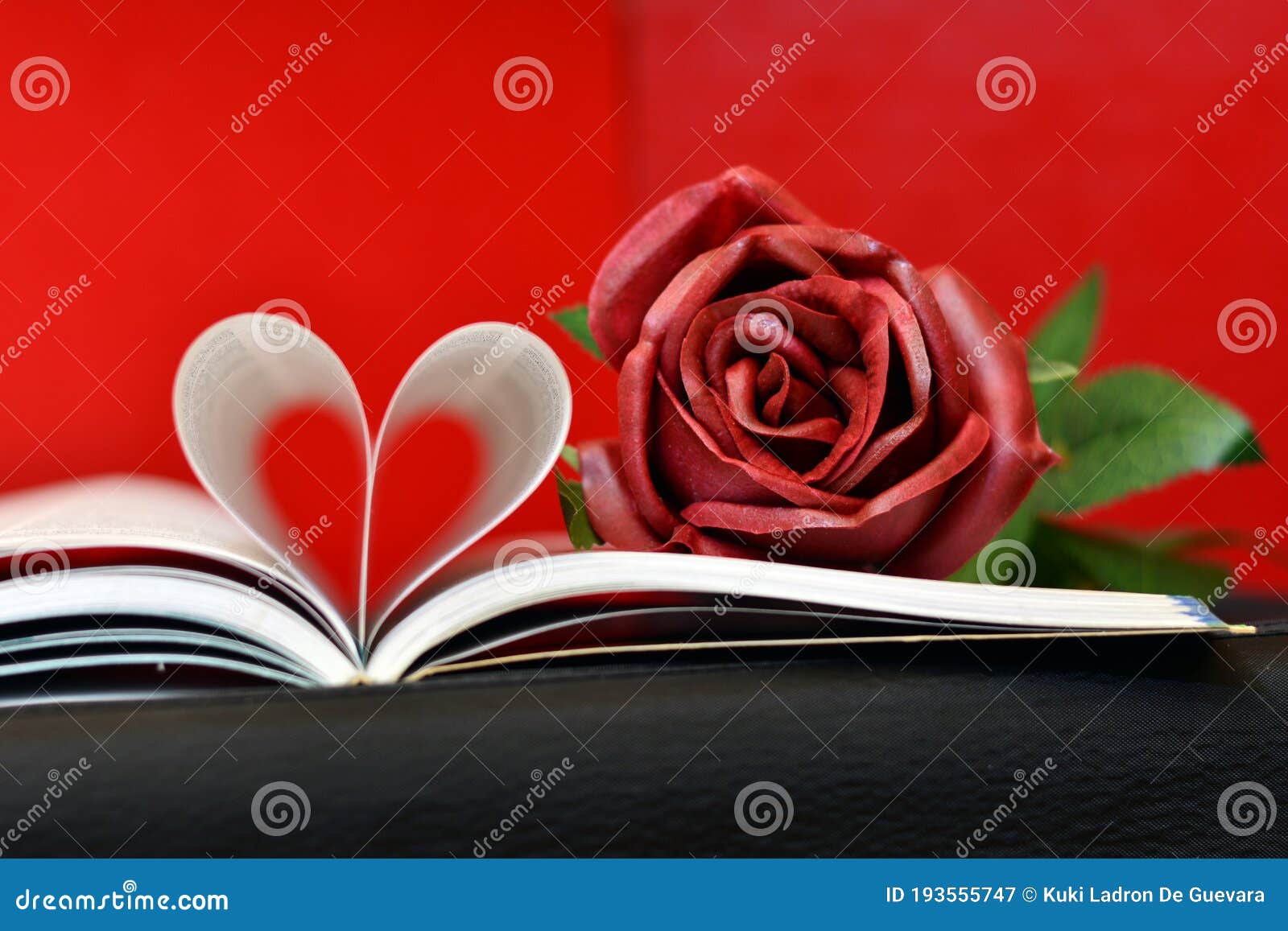 open book with curved pages in a heart 