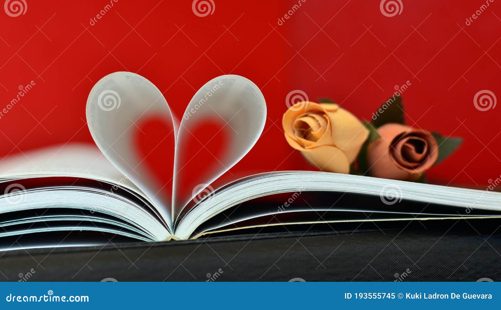 open book with curved pages in a heart 