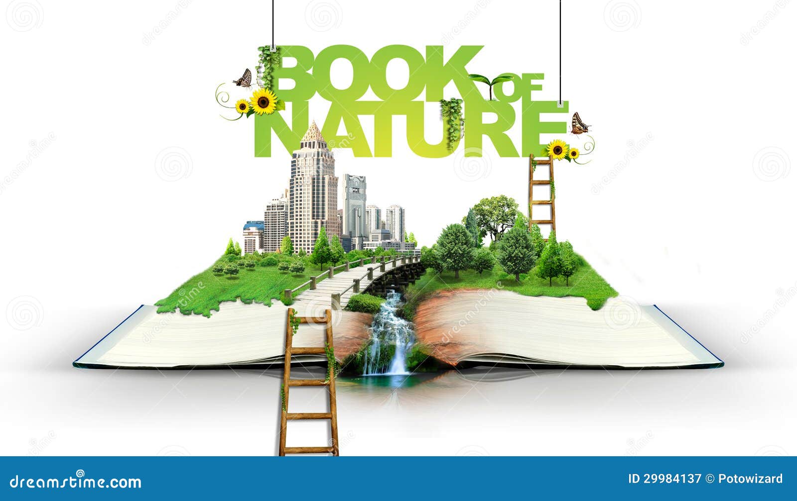 Open Book with Green Stock - Illustration of chap, forest: 29984137