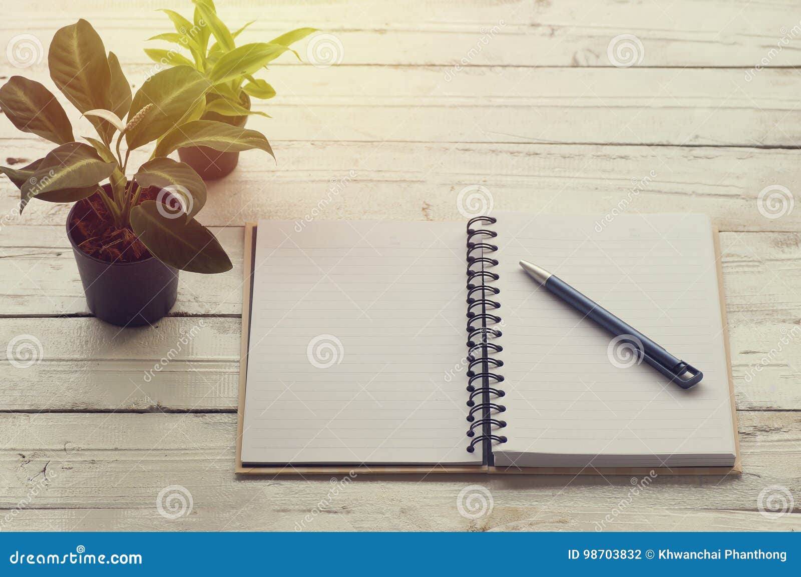 Open Book Lined Paper with Pen Stock Photo Image of book, lined 98703832