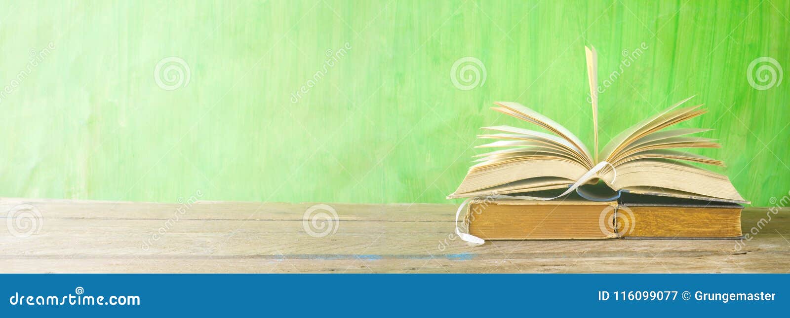 Open Book, Reading, Learning, Education Concept, Panorama ...