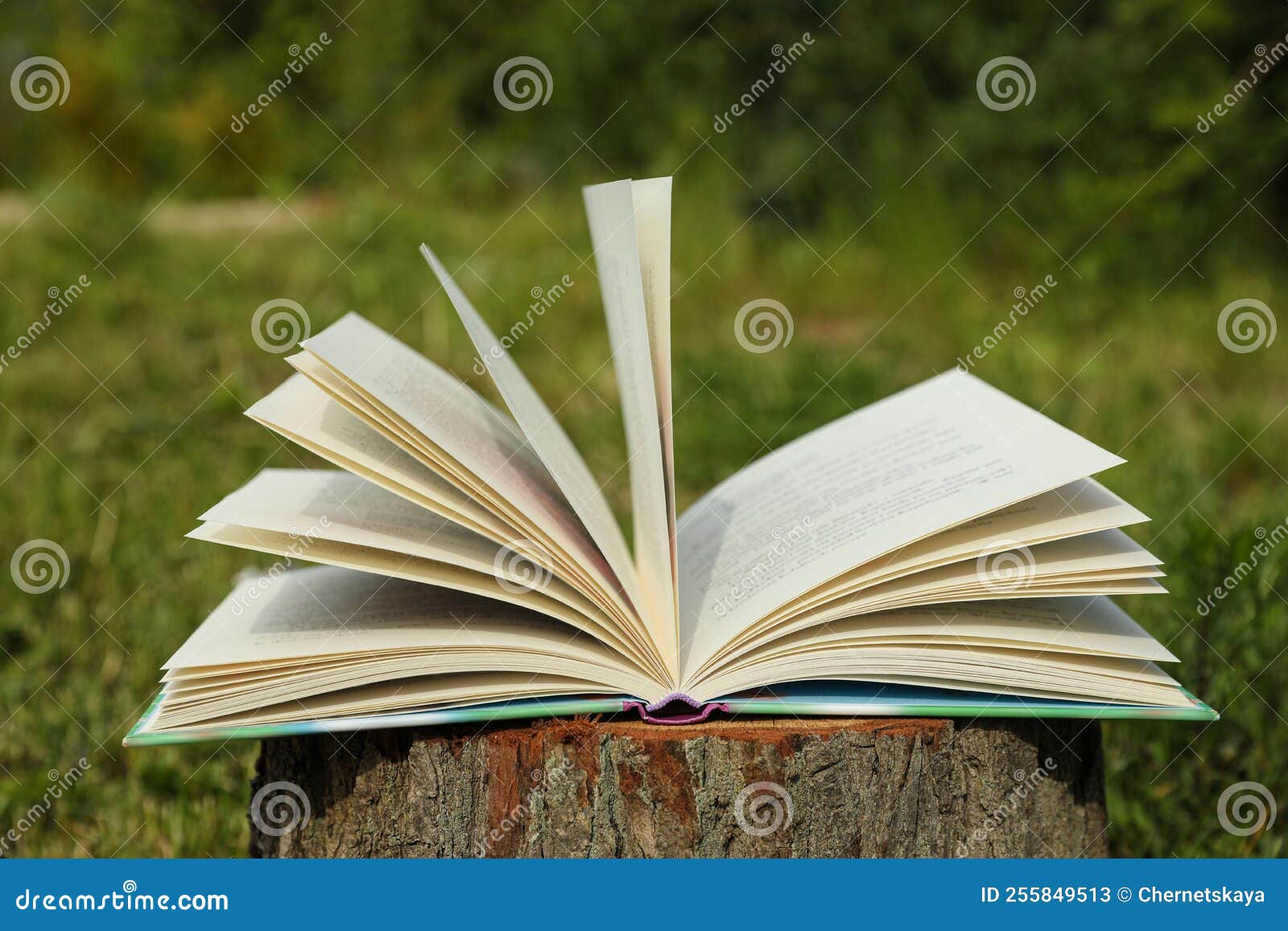 Open Book on Tree Stump in Countryside Stock Image Image of learn
