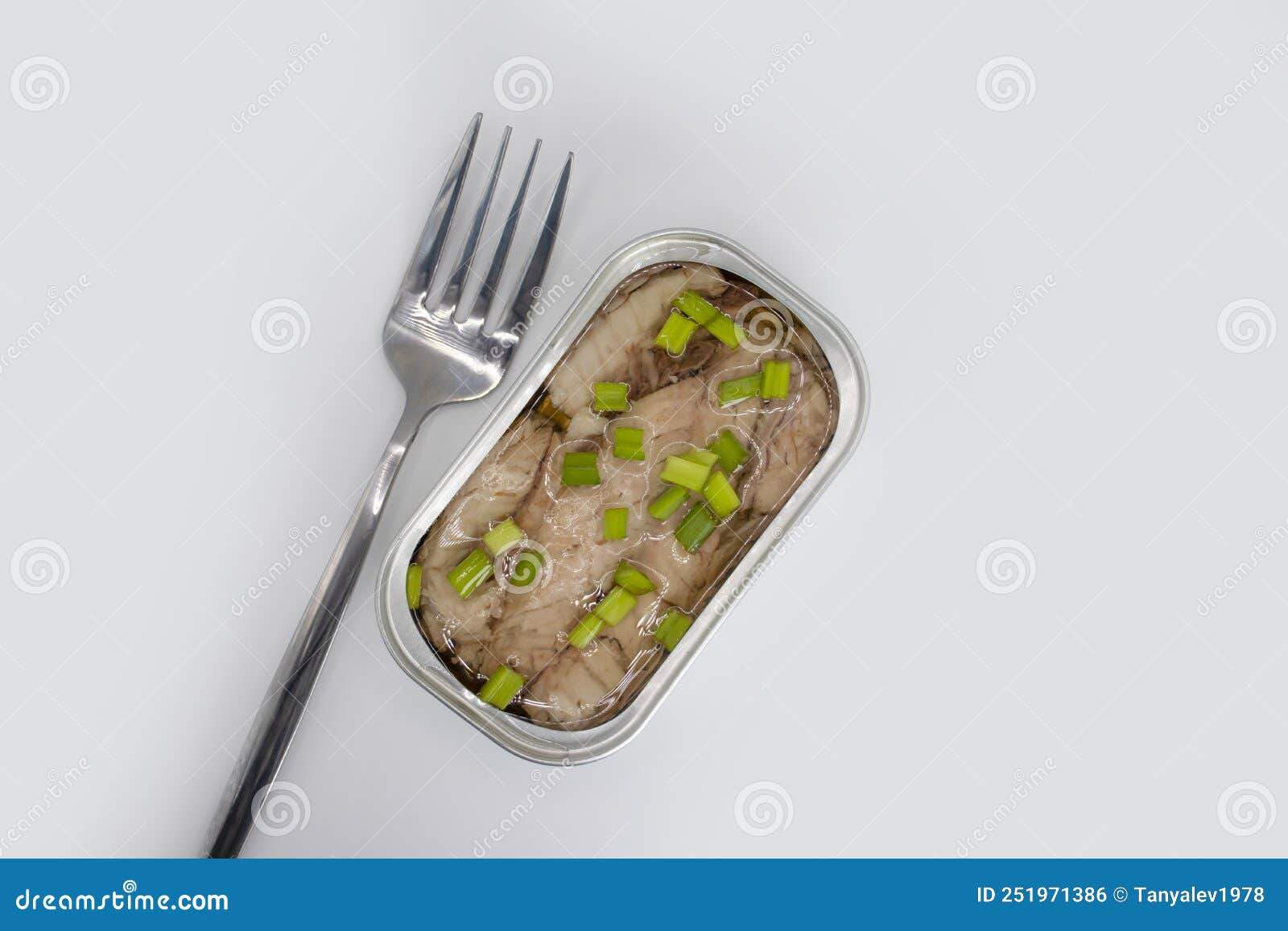 Open Canned Fish on a Light Background Protein Stock Photo Image of