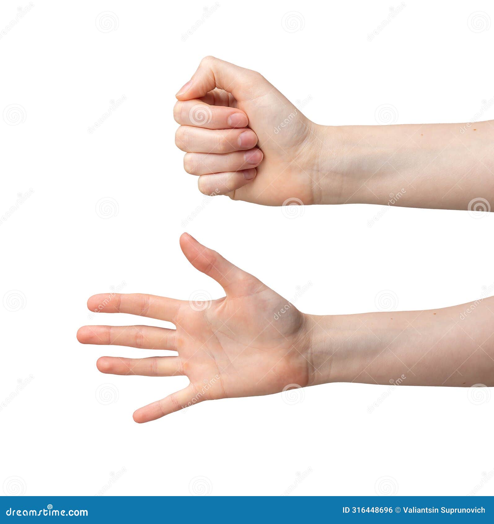 open and closed fist, palm gestures. hand showing signs, clenched fingers, empty space for .
