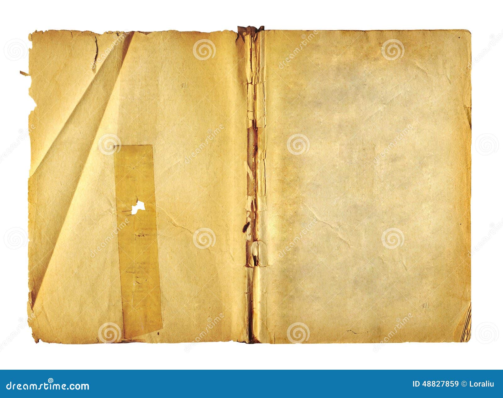 Open Book Clip Art Images – Browse 10,674 Stock Photos, Vectors, and Video