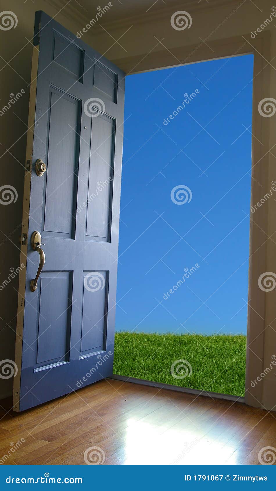 157,792 Open Door Stock Photos - Free & Royalty-Free Stock Photos from  Dreamstime