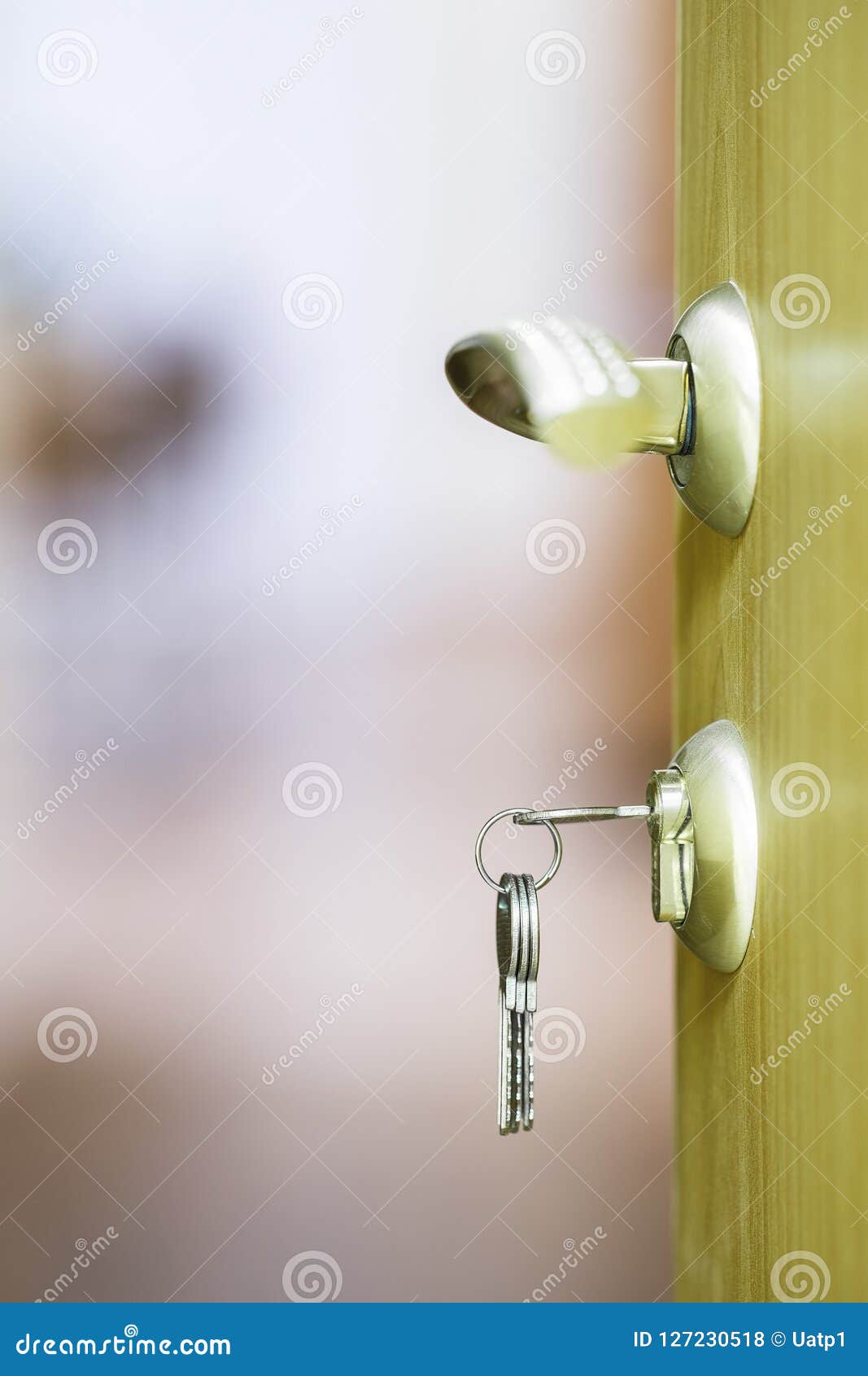 Open door with the lock stock photo. Image of closeup 127230518
