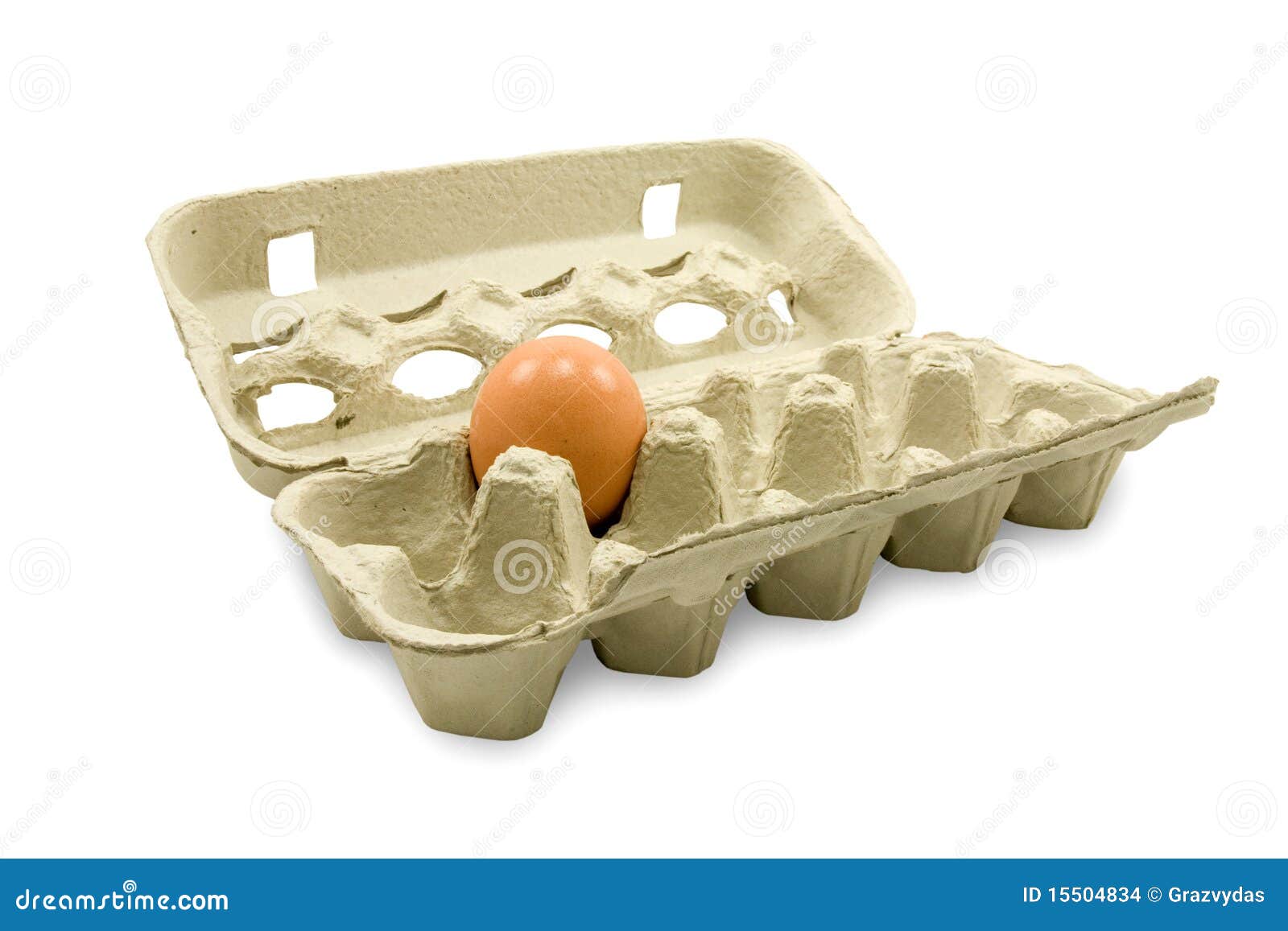 Open Eggs Cardboard with One Egg Stock Photo Image of isolated