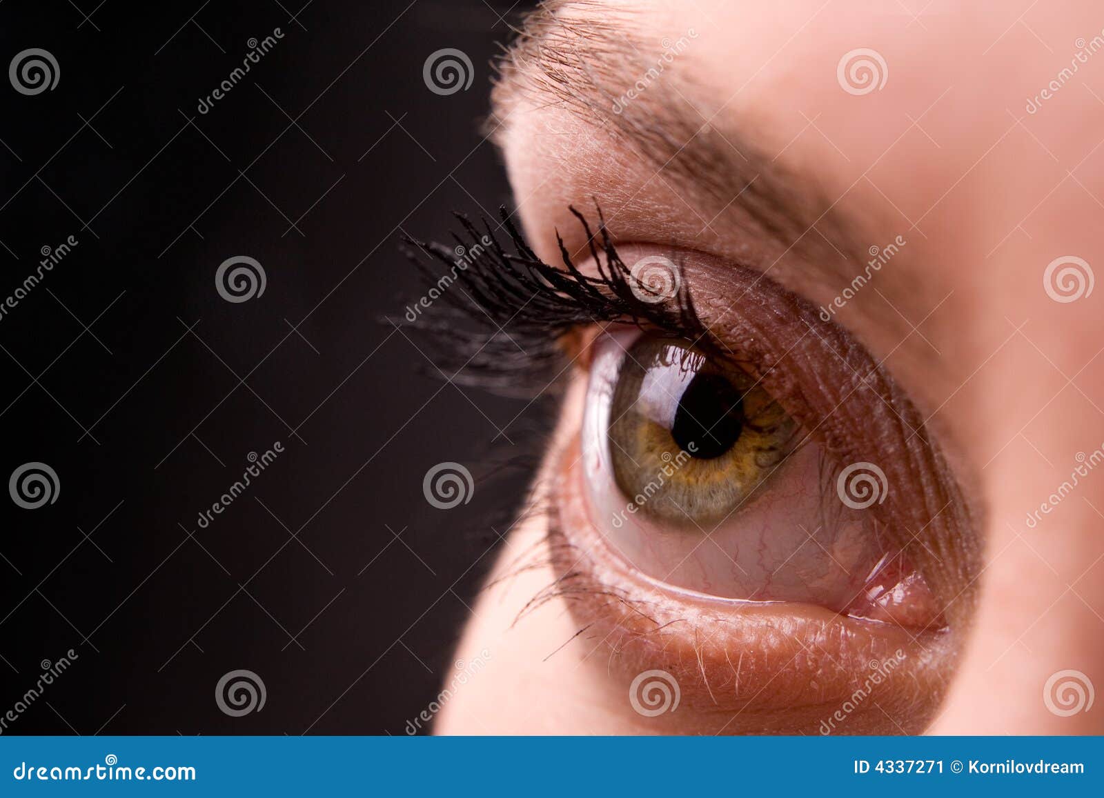 eye openin eye openin