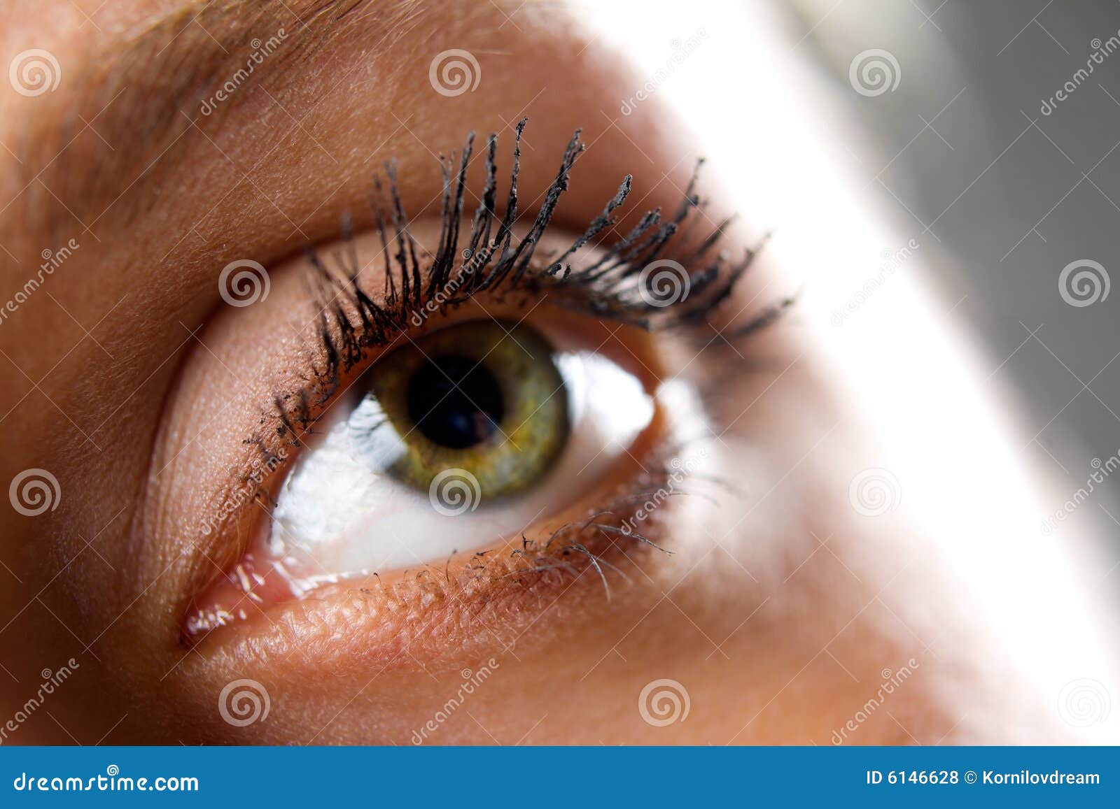 eyes stock eyes stock