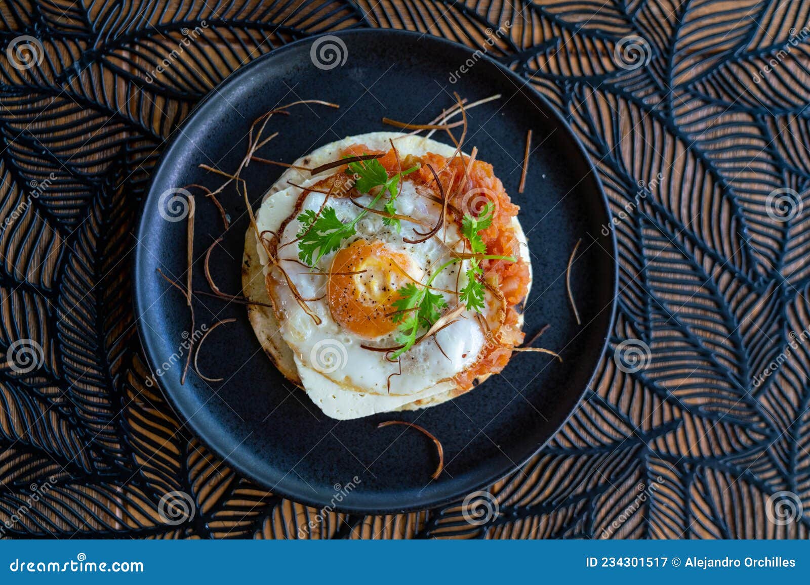 Open Faced Egg Sandwich with Cheese Tomato and Onion Stock Image