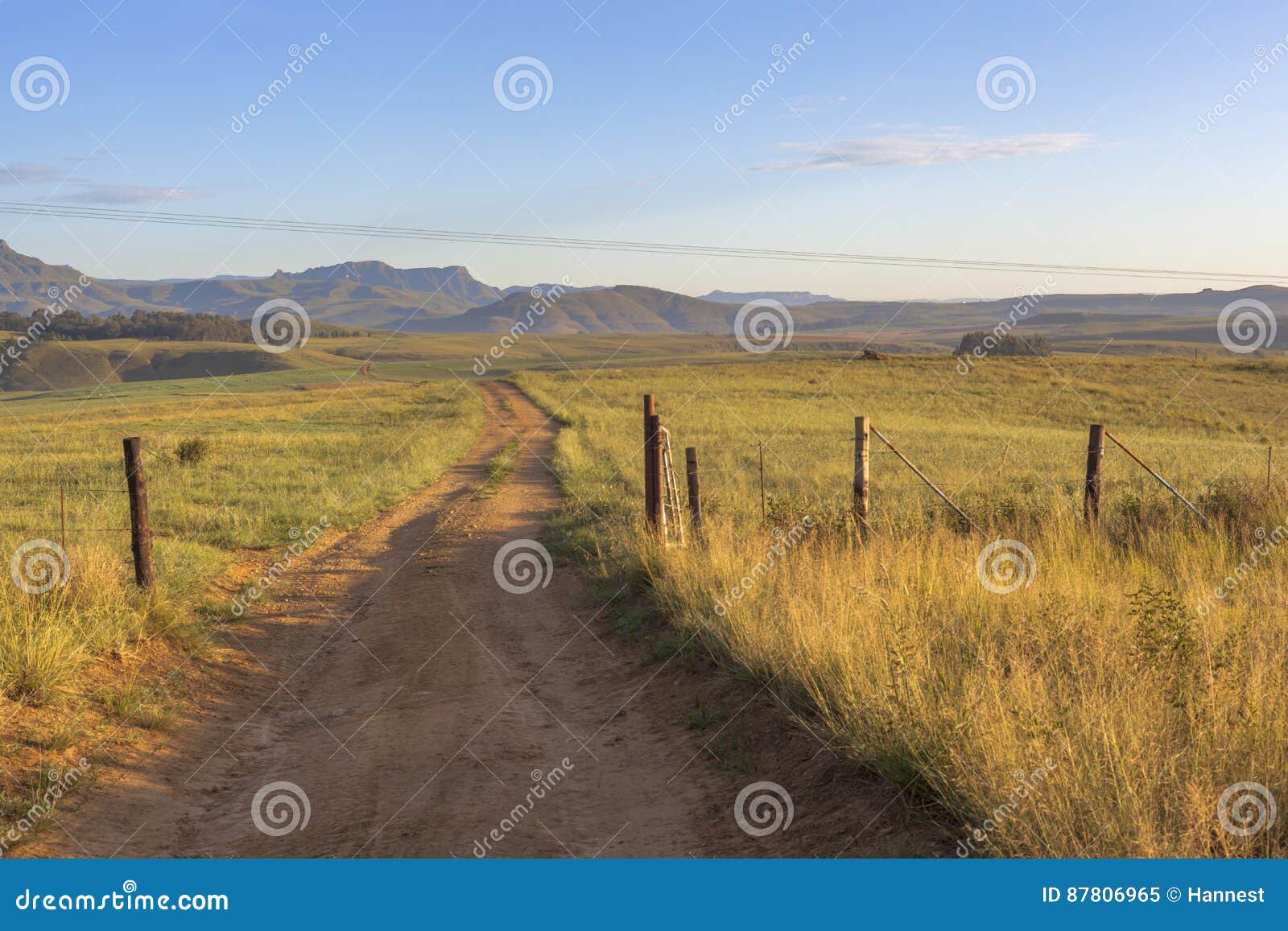 Open gate and farm road stock image. Image of sunlight 87806965