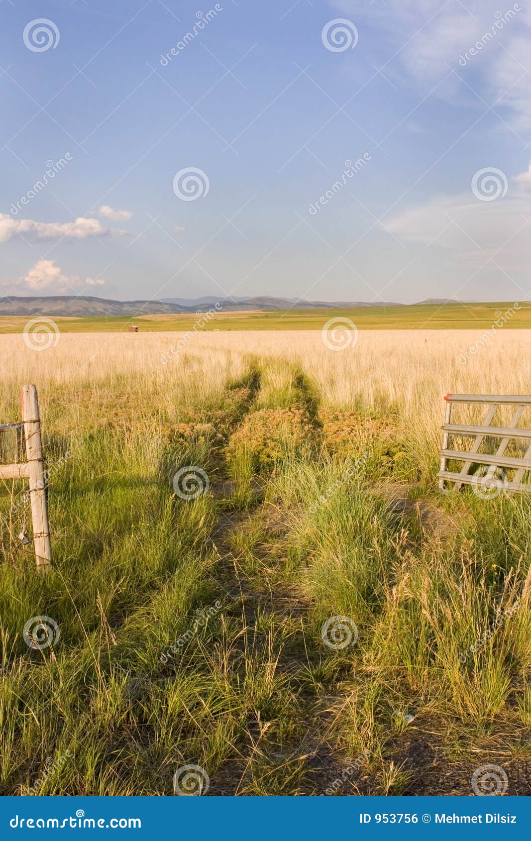 Open Gate To A Field With Clear Skies And A Small Shed 