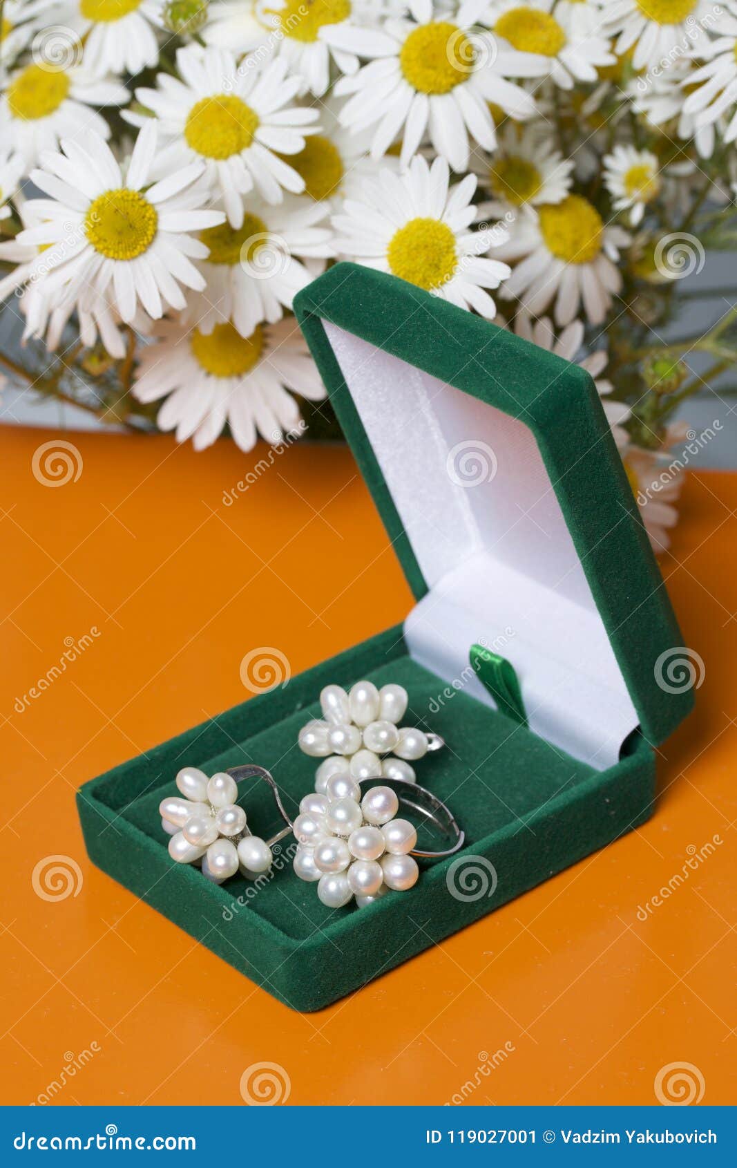 An Open Green Velvet Box for Jewelry. in it Lies a Set: a Ring and ...